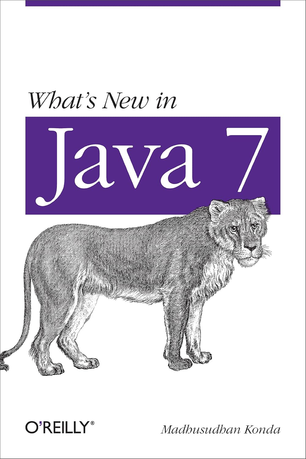 ler totalmente What's New in Java 7 (English Edition)