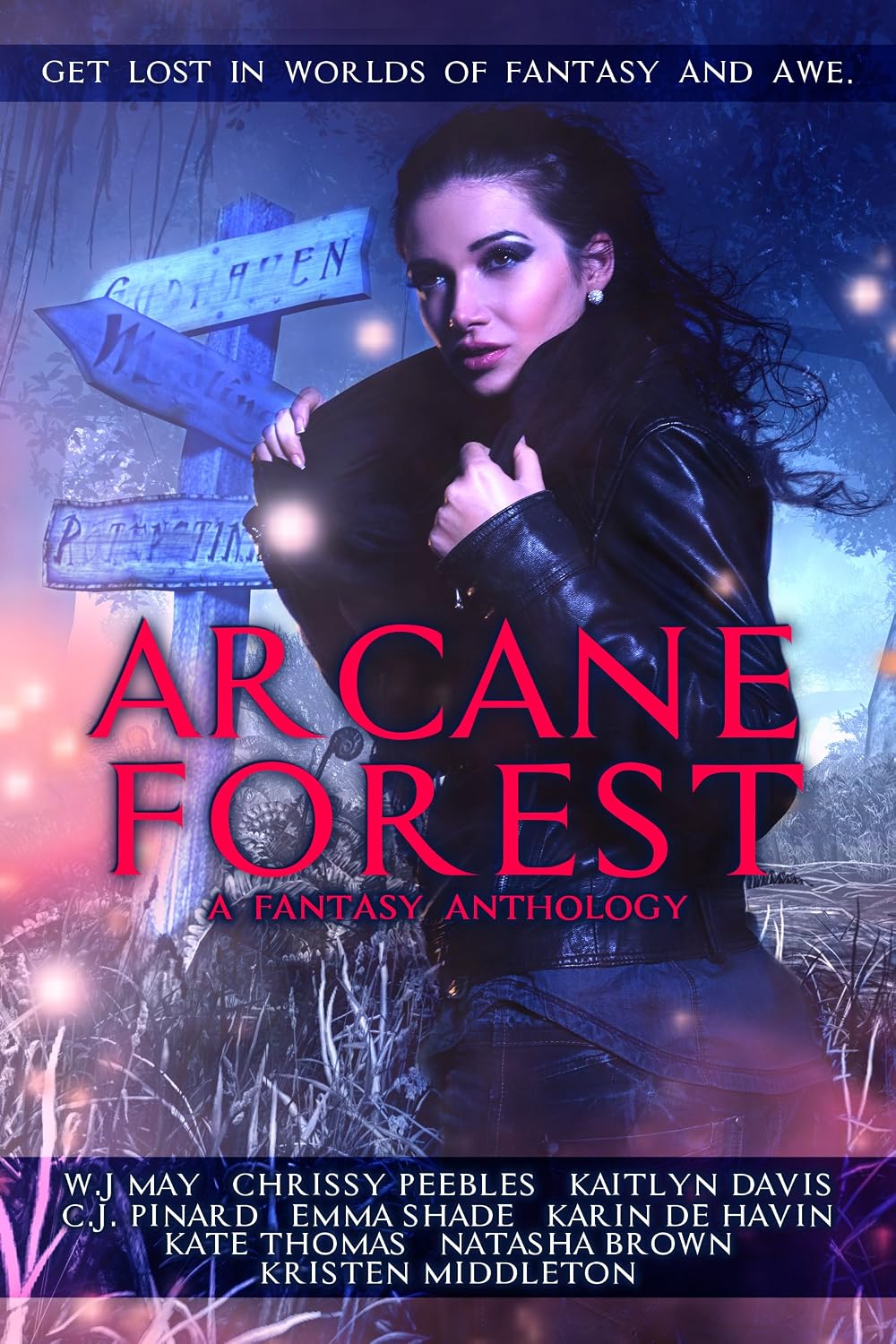 capítulo por capítulo baixar Arcane Forest Anthology: Get Lost in Worlds of Fantasy and Awe (English Edition)