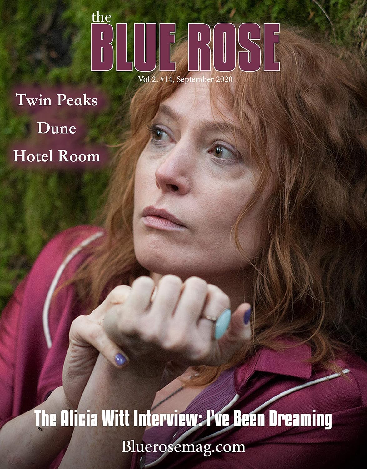 ler totalmente The Blue Rose Magazine: Issue #14 (English Edition)
