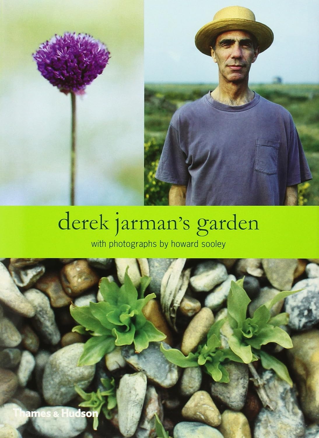 ler totalmente Derek Jarman's Garden