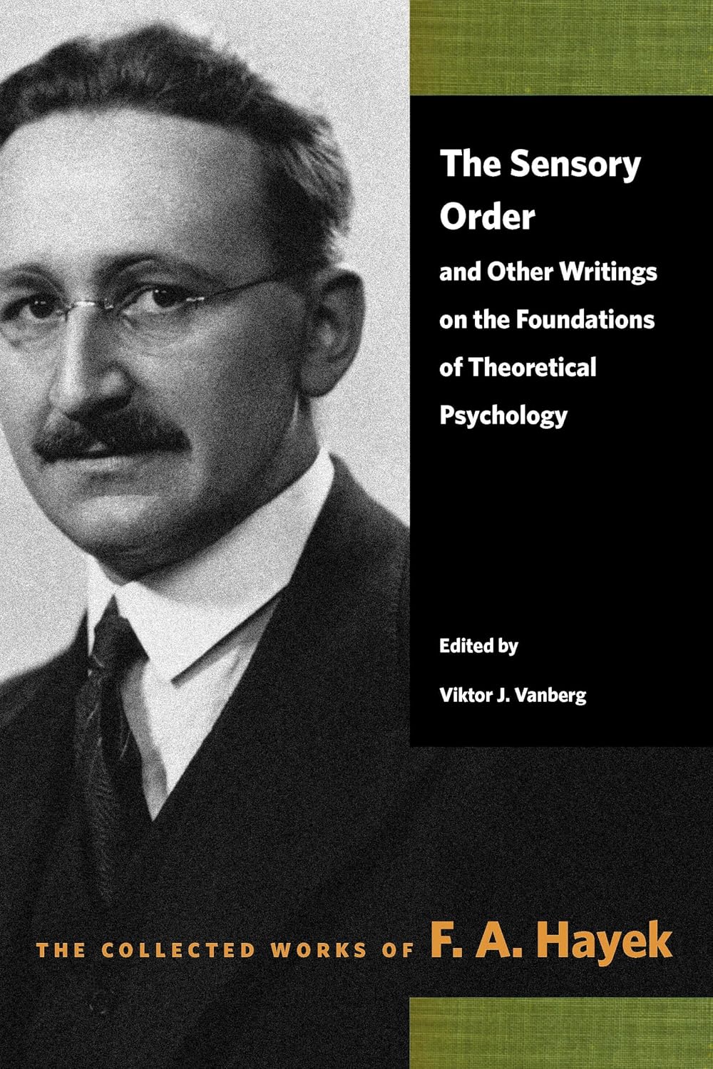 The Sensory Order and Other Writings on the Foundations of Theoretical Psychology baixar o livro de graça