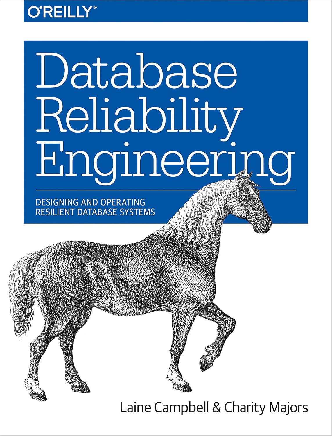 Database Reliability Engineering: Designing and Operating Resilient Database Systems (English Edition)