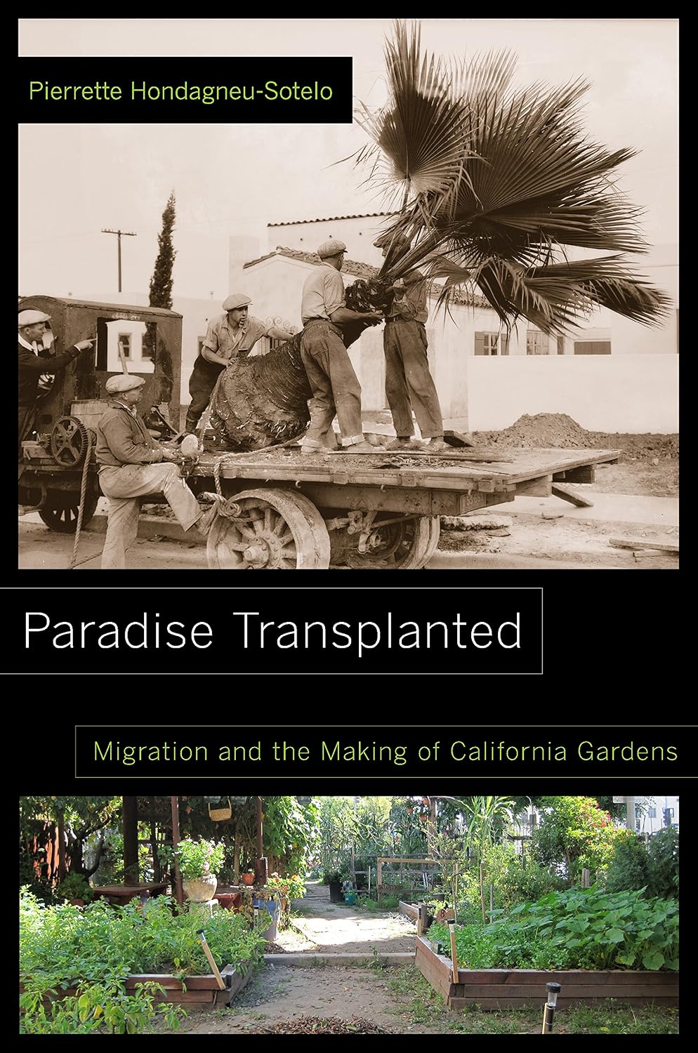 Paradise Transplanted: Migration and the Making of California Gardens (English Edition) baixar o livro de graça