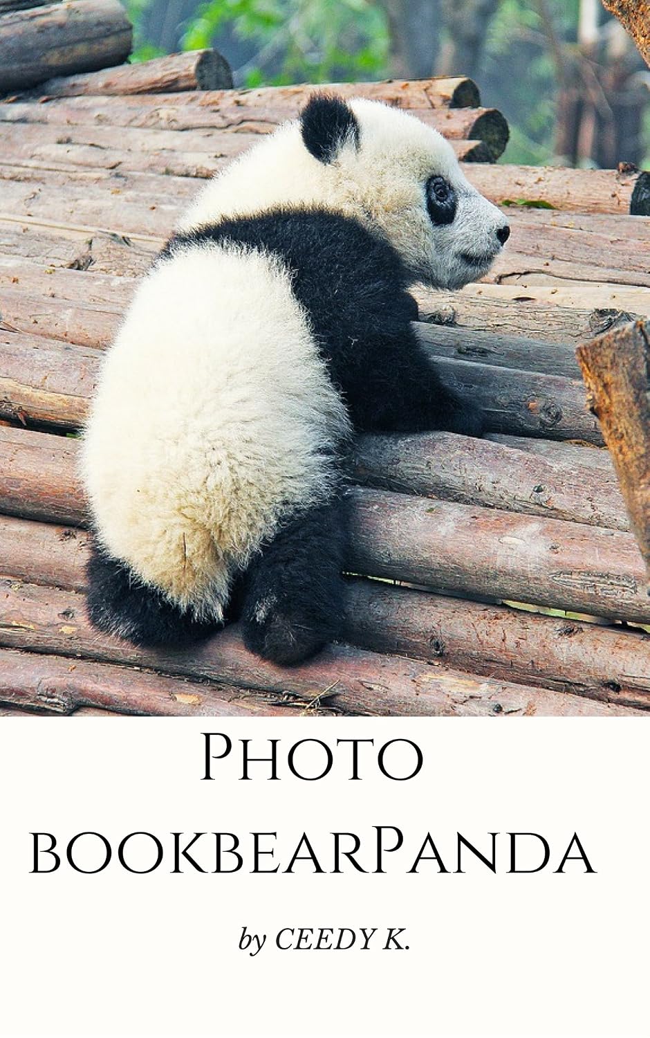 Photo book Panda: Photo book Panda panda for Children 1-10 years old (English Edition) baixar livro de graça