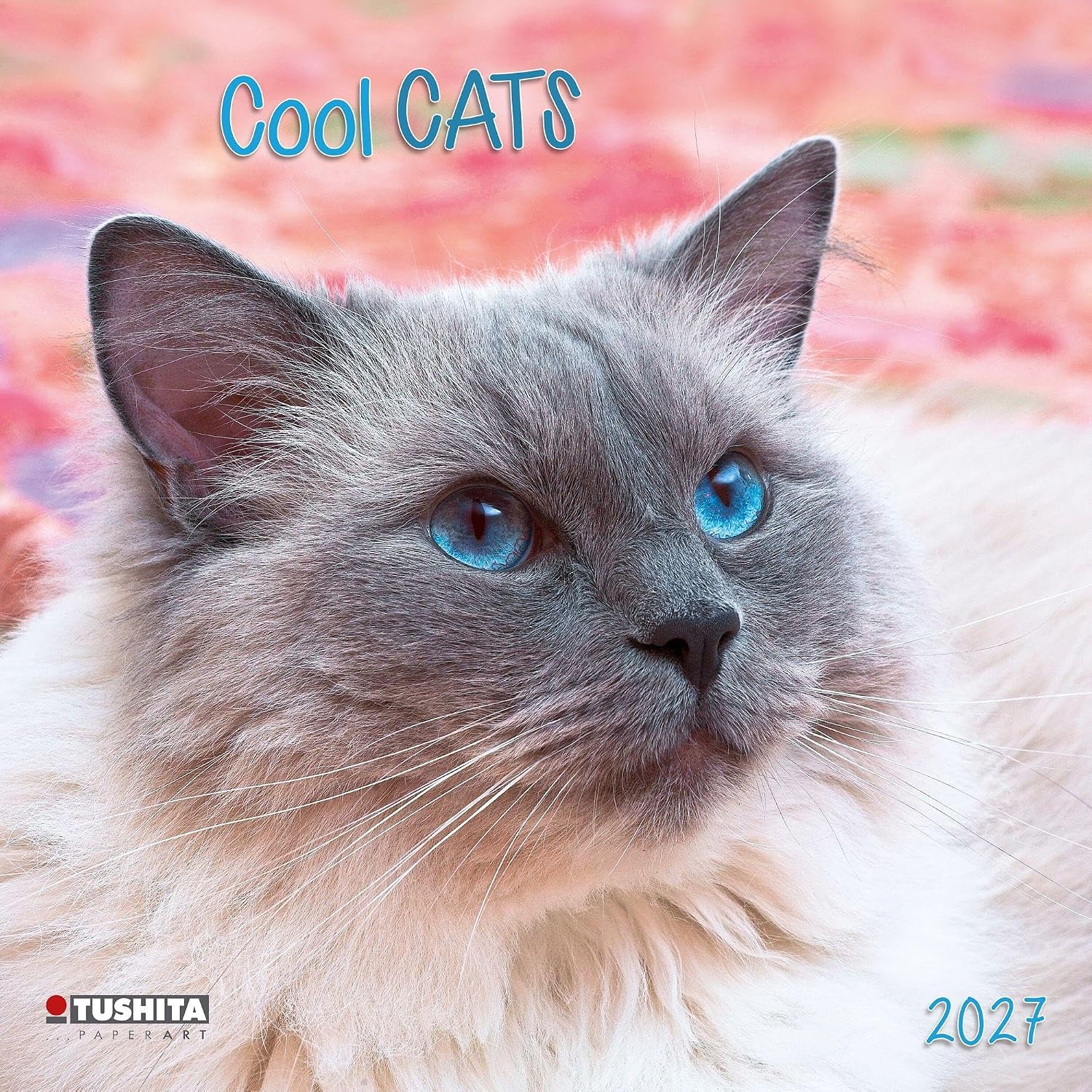 Cool Cats 2027: Kalender 2027