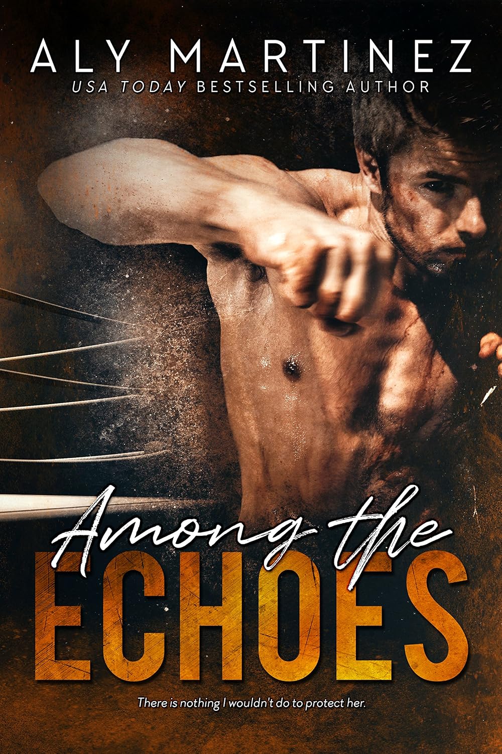 ler totalmente Among The Echoes (Wrecked and Ruined) (English Edition)