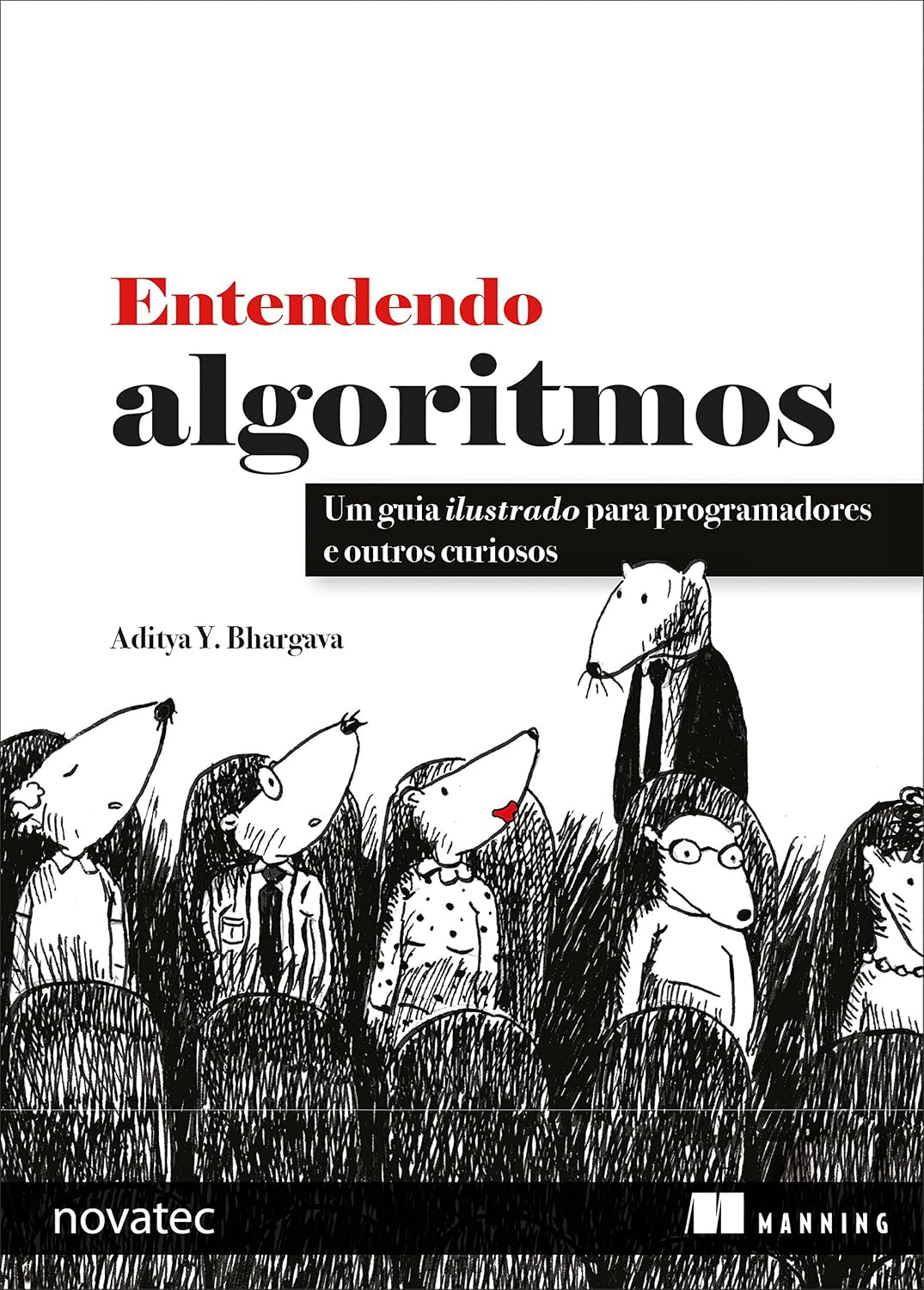 capítulo por capítulo baixar Entendendo Algoritmos: Um guia ilustrado para programadores e outros curiosos