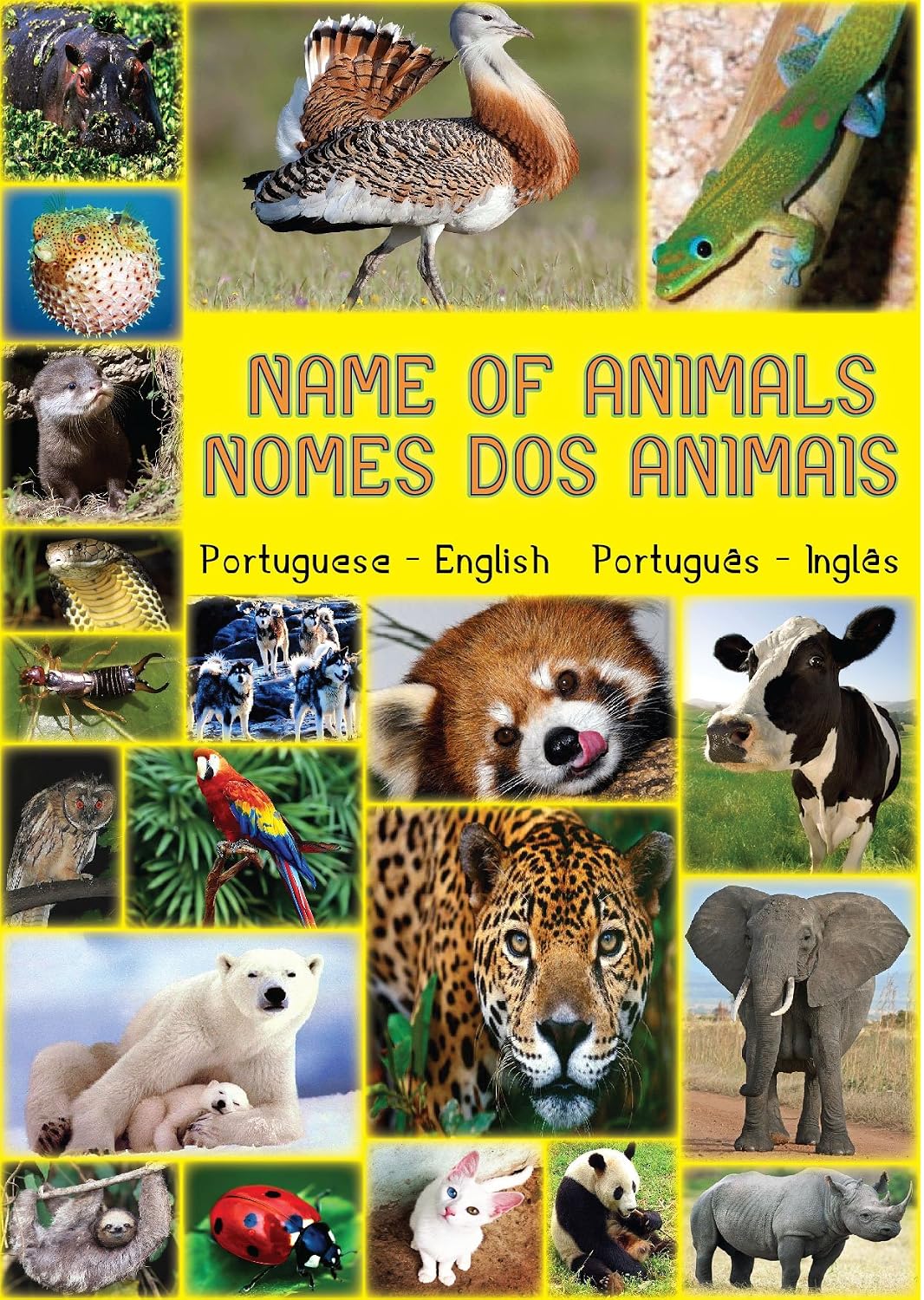 ler totalmente NOMES DOS ANIMAIS / NAME OF ANIMALS: Names of Animals - Nomes dos Animais