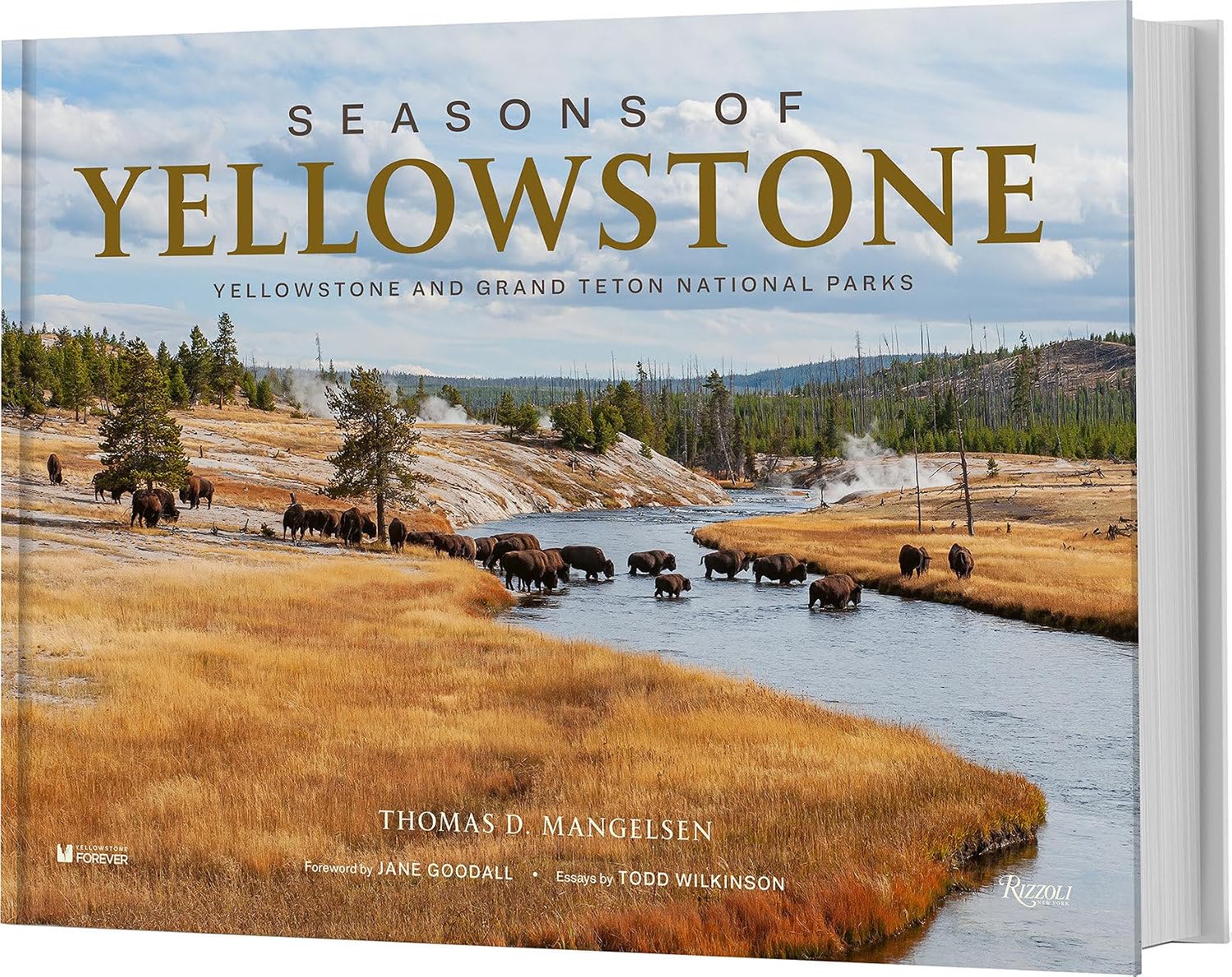 Seasons of Yellowstone: Yellowstone and Grand Teton National Parks baixar o livro de graça