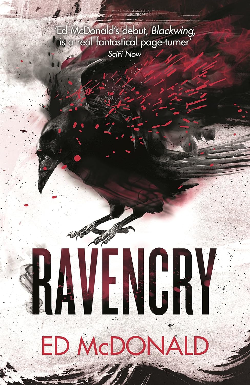 Ravencry: The Raven's Mark Book Two (English Edition)