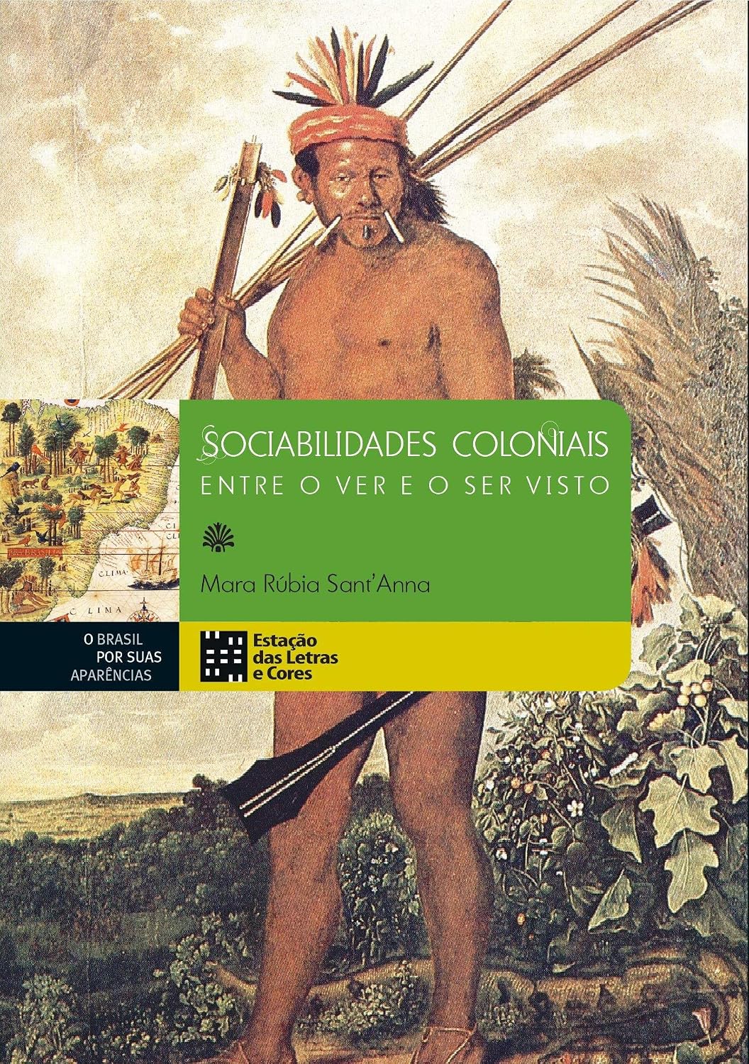 Sociabilidades Coloniais: Entre o ver e o ser Visto baixar o livro de graça
