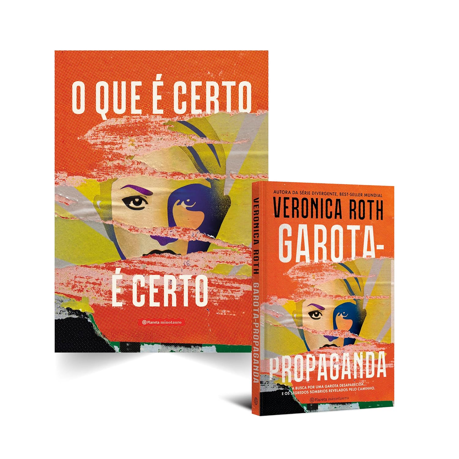 Garota-Propaganda – edição com brinde (poster do livro): A busca por uma garota desaparecida... e os segredos sombrios revelados pelo caminho baixar livro de graça