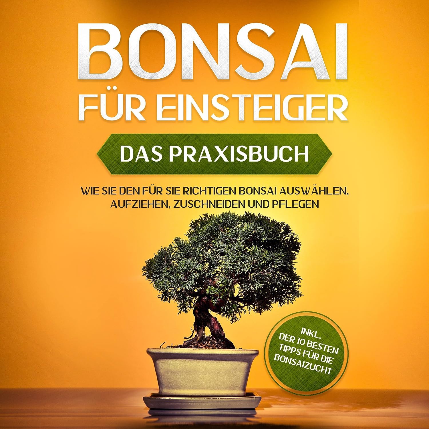 Bonsai für Einsteiger - Das Praxisbuch: Wie Sie den für Sie richtigen Bonsai auswählen, aufziehen, zuschneiden und pflegen - inkl. der 10 besten Tipps für die Bonsaizucht baixar livro de graça