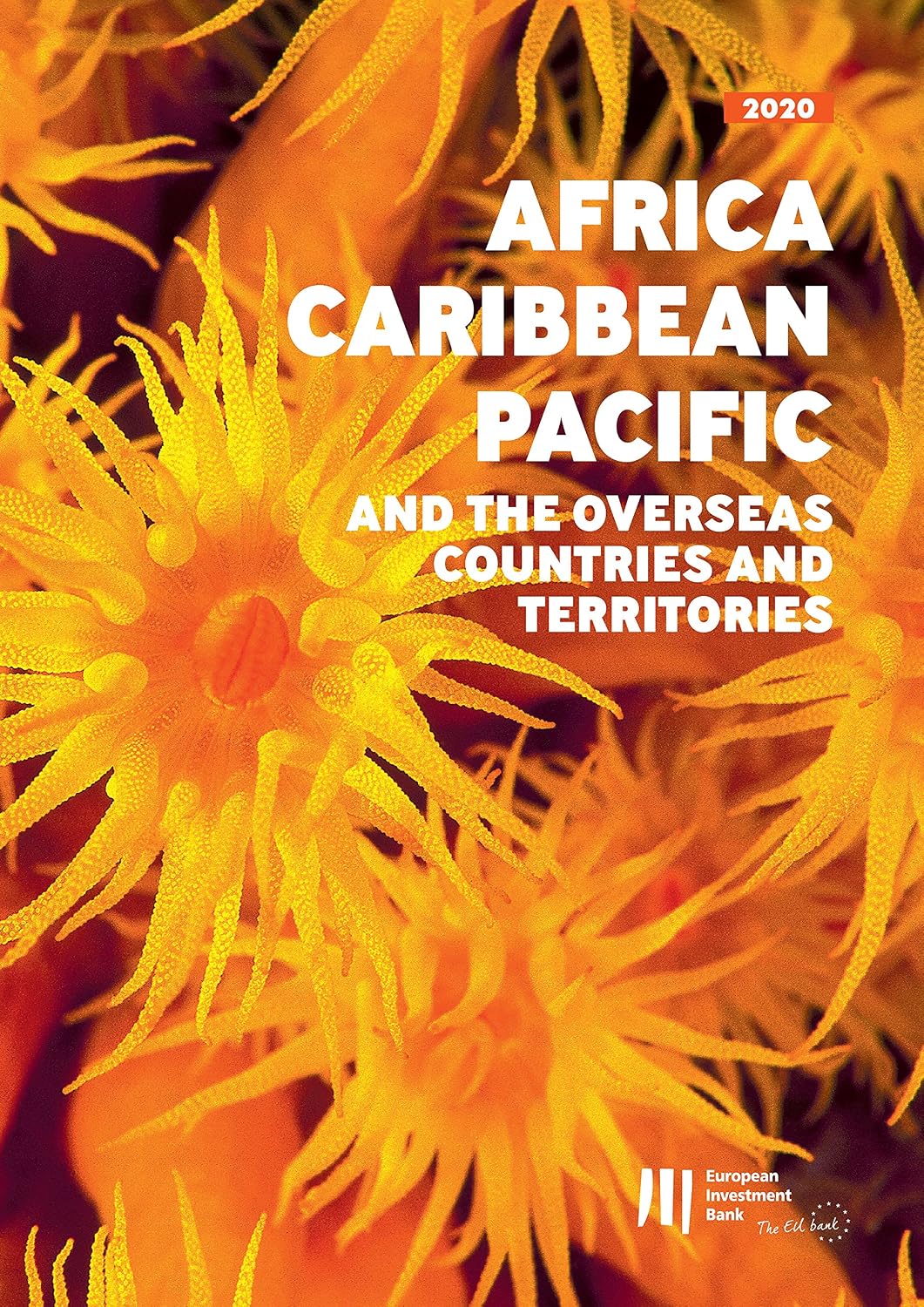 EIB Activity in Africa, the Caribbean, the Pacific, and the Overseas Countries and Territories: Annual Report 2020 (English Edition) baixar livro de graça