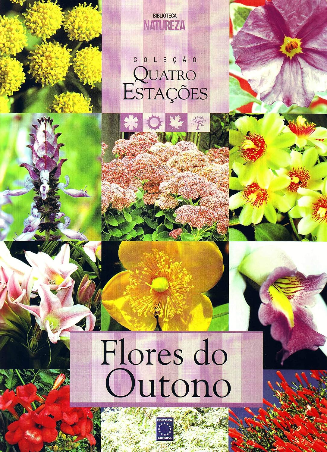 Flores do Outono
