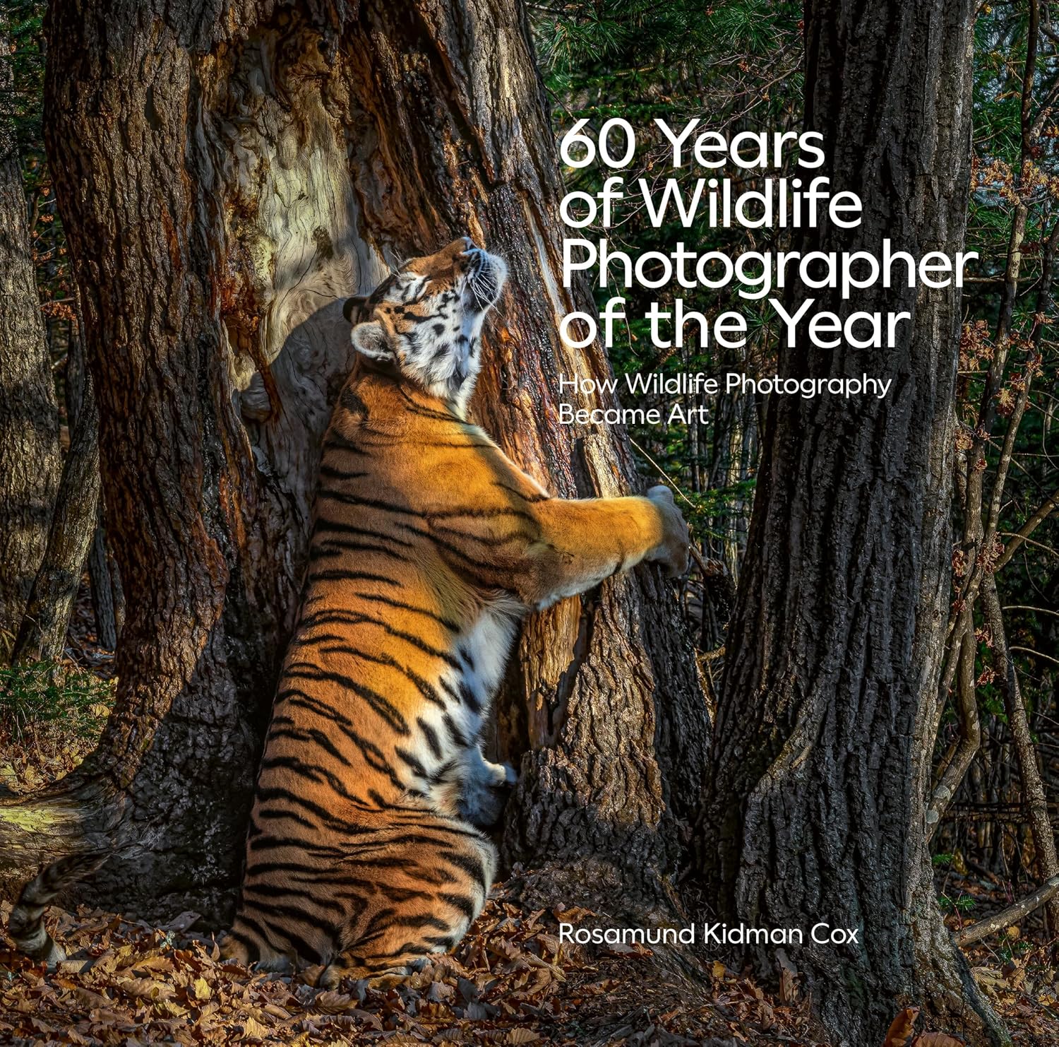 ler totalmente 60 Years of Wildlife Photographer of the Year: How Wildlife Photography Became Art