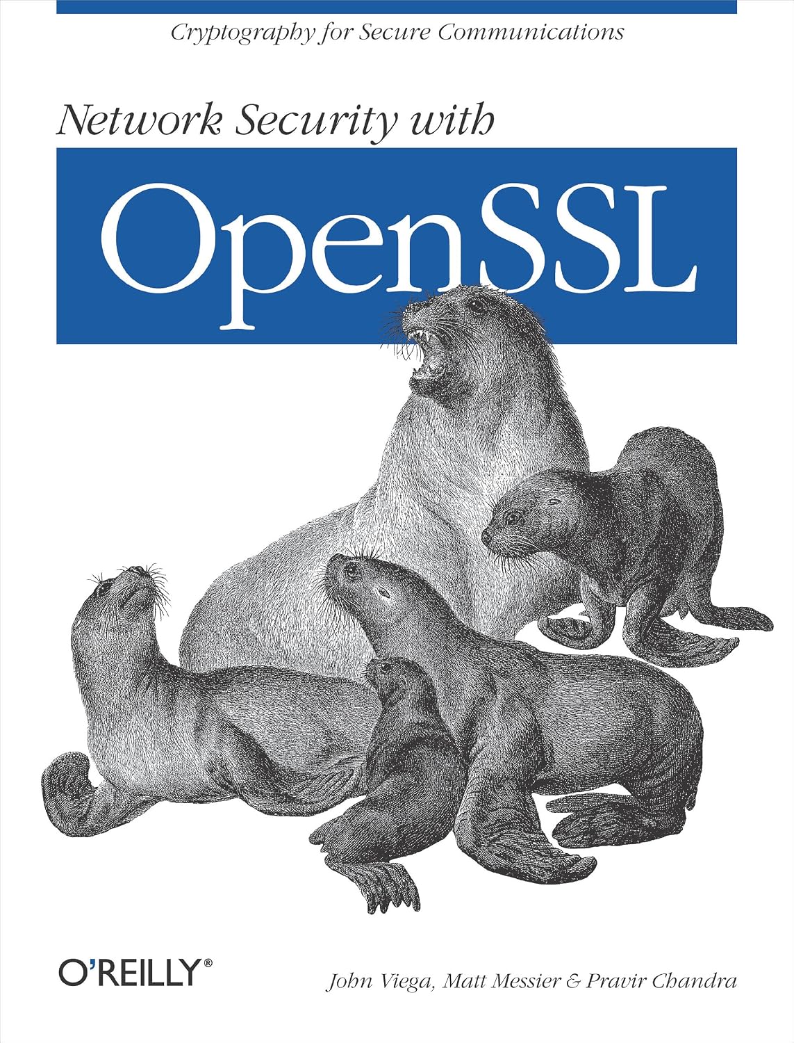 Network Security with OpenSSL: Cryptography for Secure Communications (English Edition) baixar livro de graça