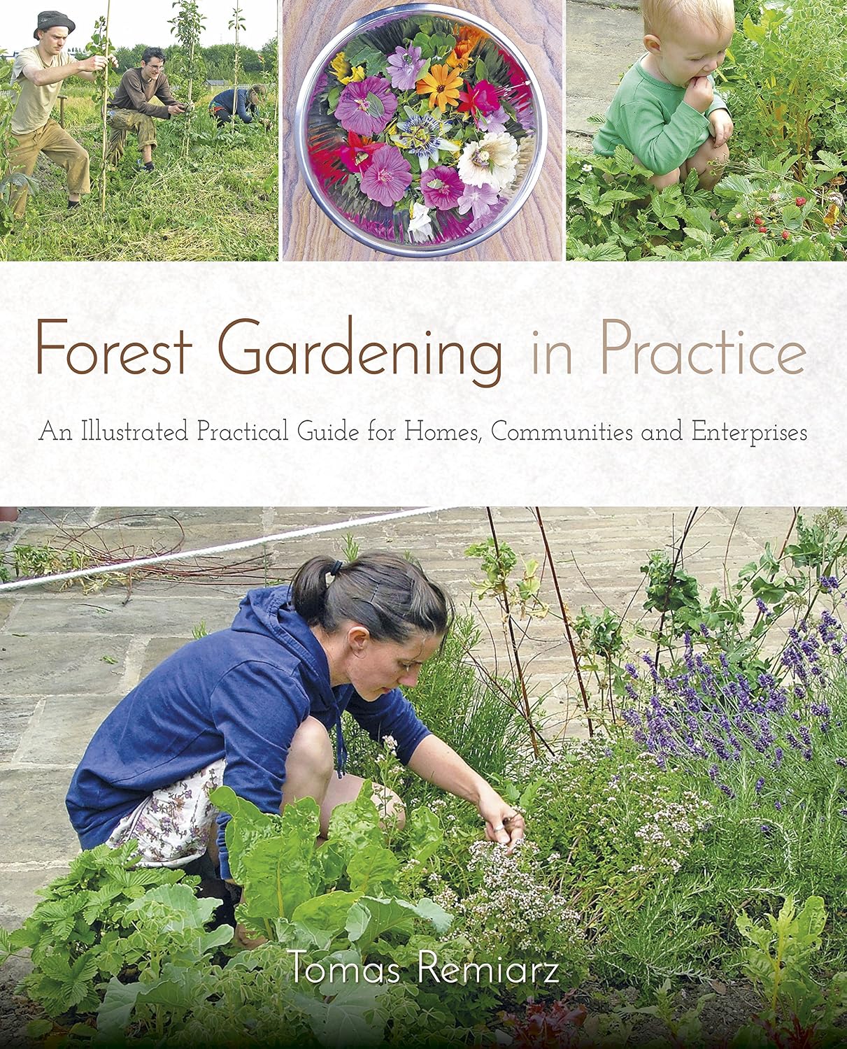 Forest Gardening in Practice: An Illustrated Practical Guide for Homes, Communities and Enterprises baixar o livro de graça