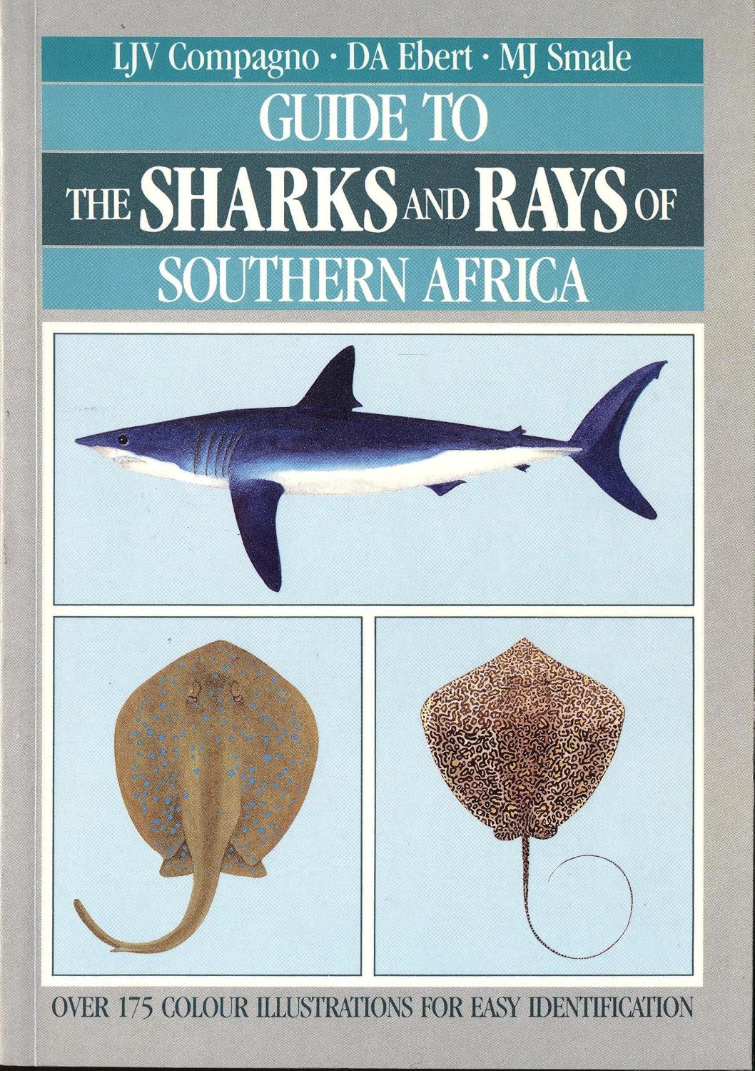 Guide to the Sharks and Rays of Southern Africa baixar o livro de graça