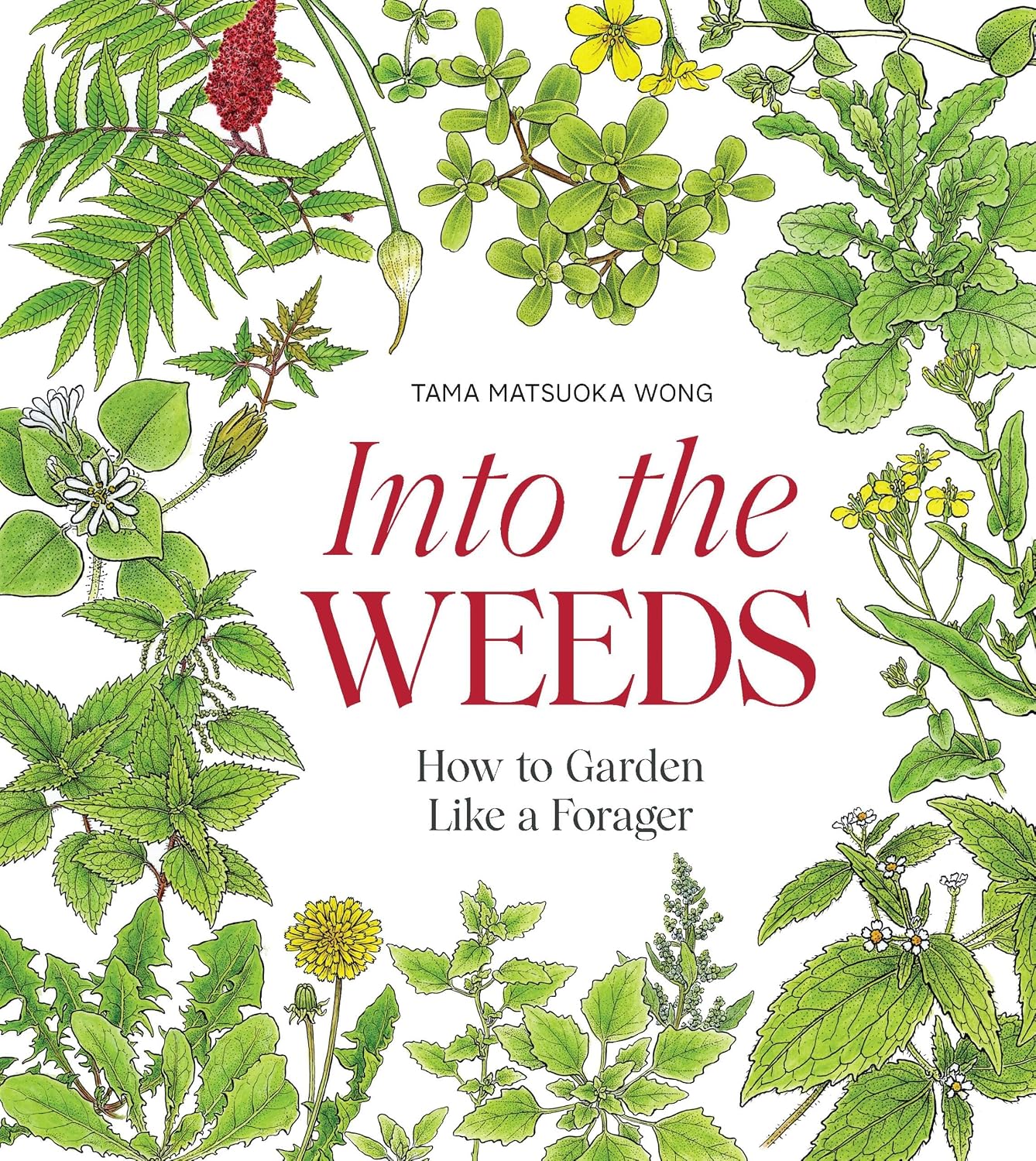 Into the Weeds: How to Garden Like a Forager baixar livro de graça