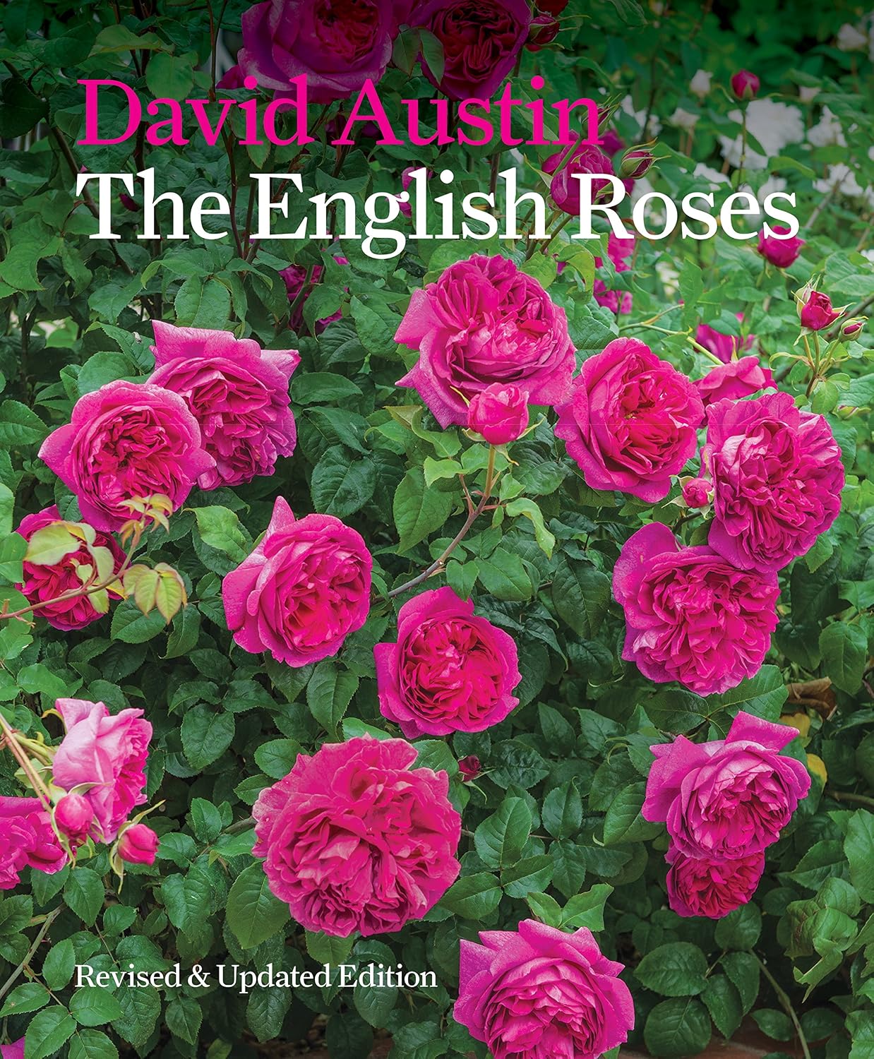 ler totalmente The English Roses (English Edition)