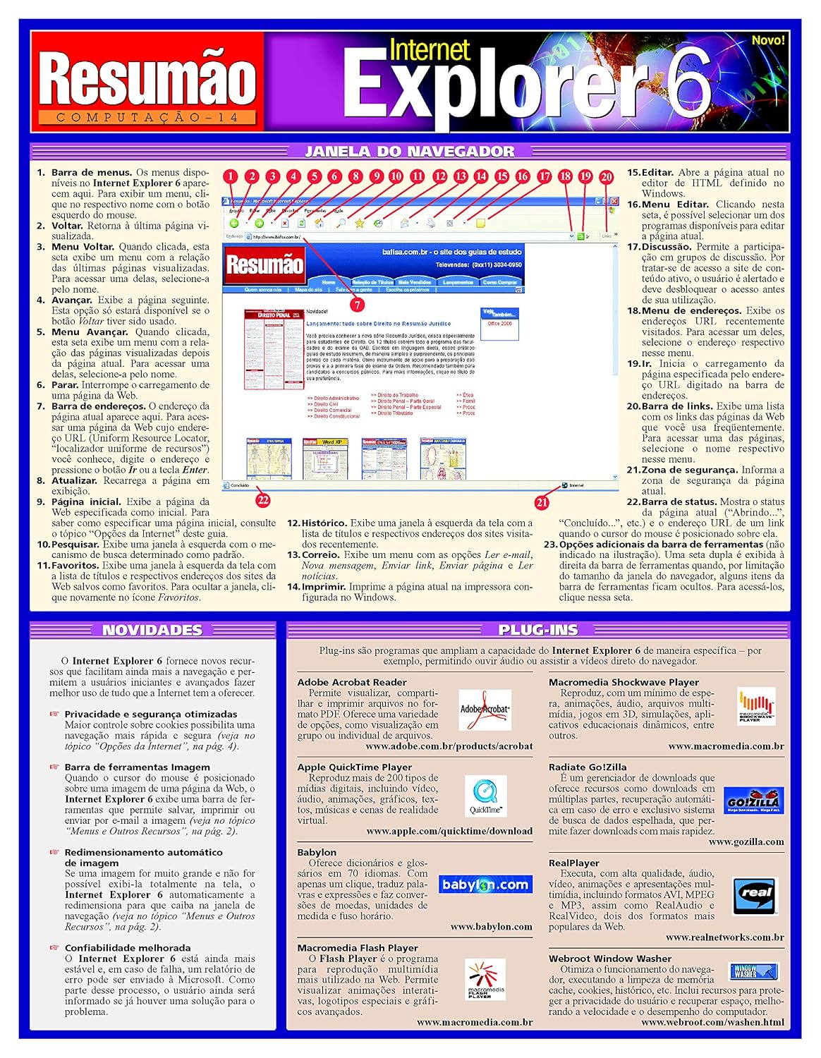 Resumão Internet Explorer 6