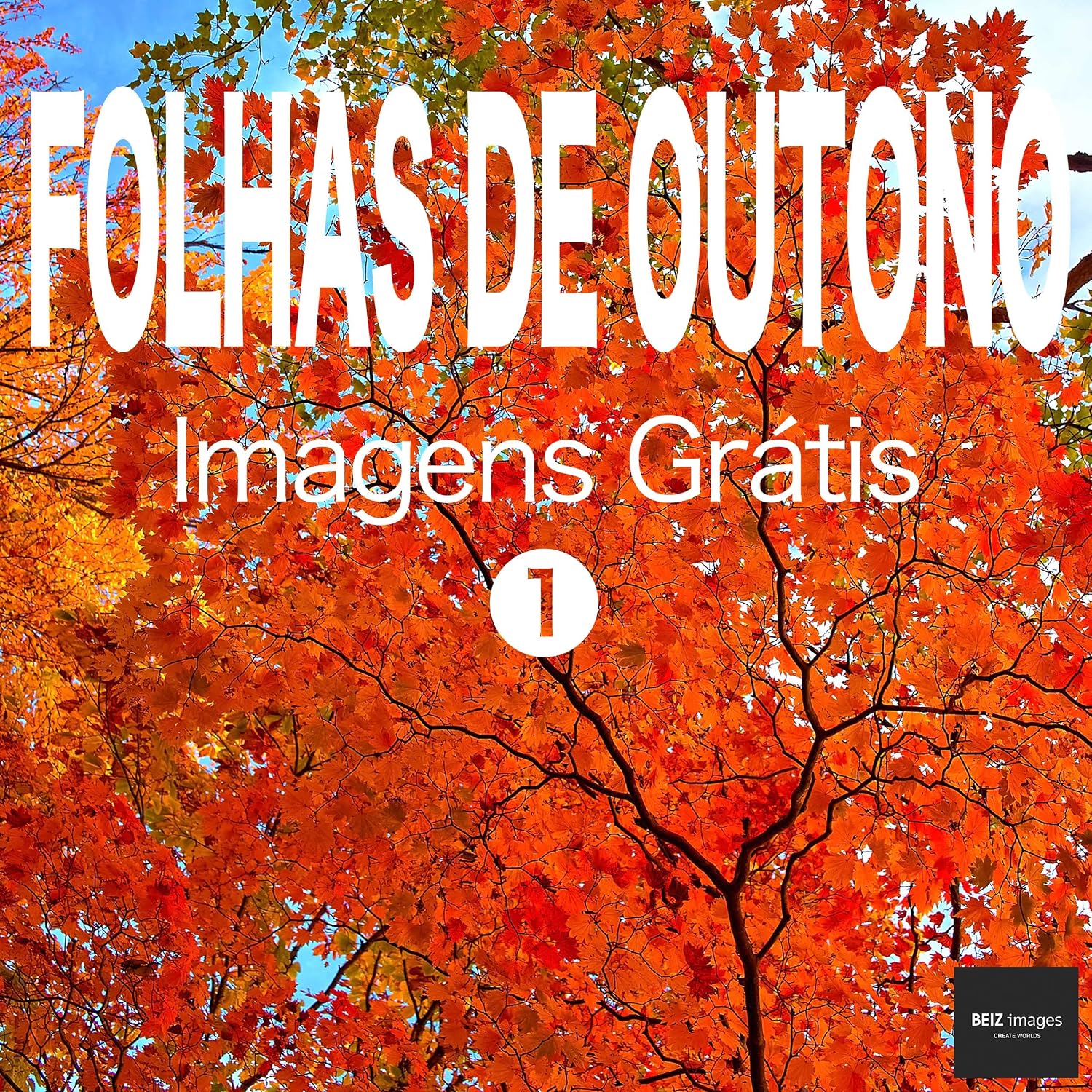 FOLHAS DE OUTONO Imagens Grátis 1 BEIZ images - Fotos Grátis baixar livro de graça