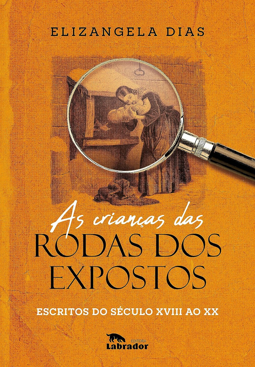 capítulo por capítulo baixar As crianças das rodas dos expostos: escritos do século XVIII ao XX
