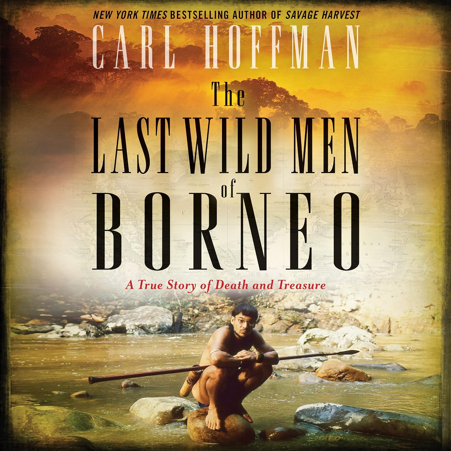 The Last Wild Men of Borneo: A True Story of Death and Treasure baixar o livro de graça