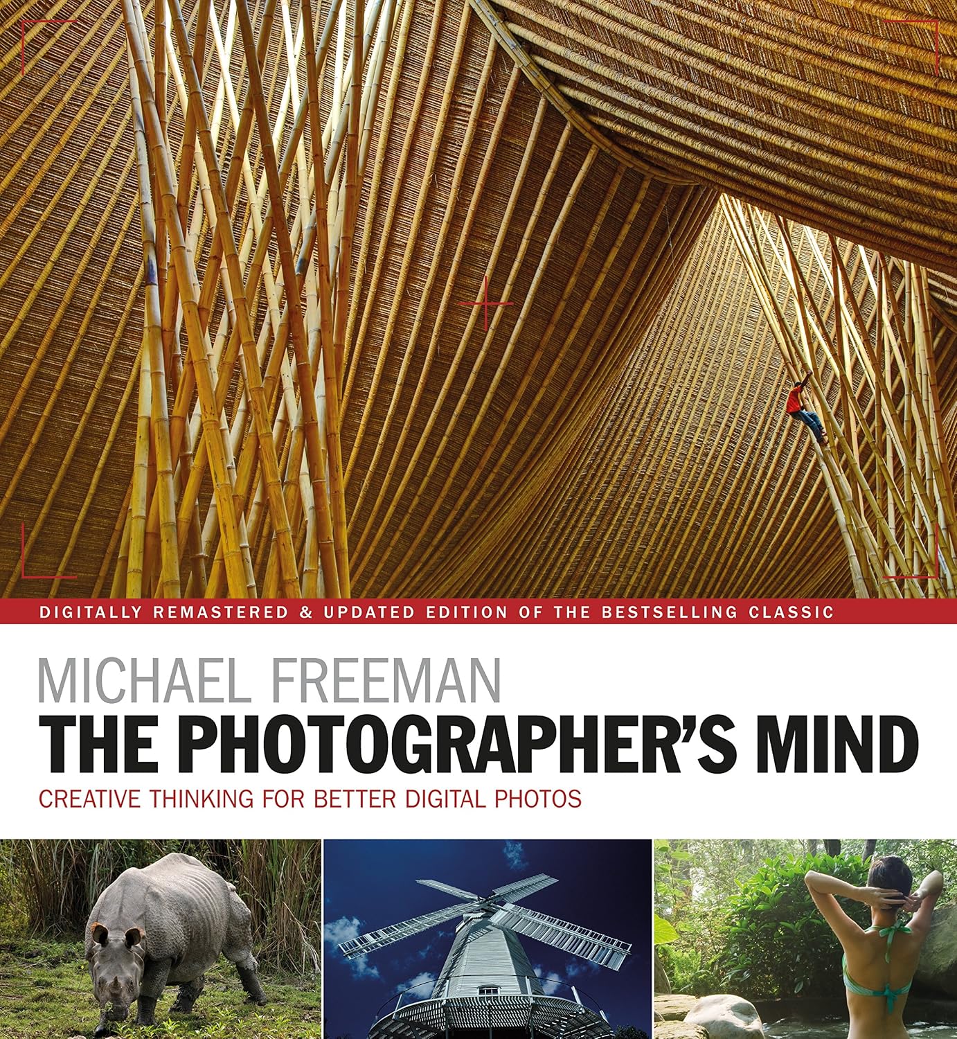 capítulo por capítulo baixar The Photographer's Mind Remastered: Creative Thinking for Better Digital Photos (The Photographer's Eye Book 8) (English Edition)