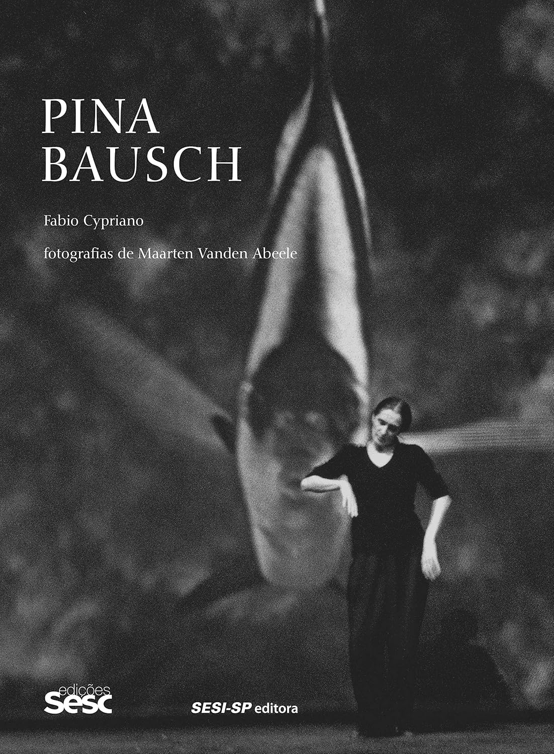 Pina Bausch baixar livro de graça
