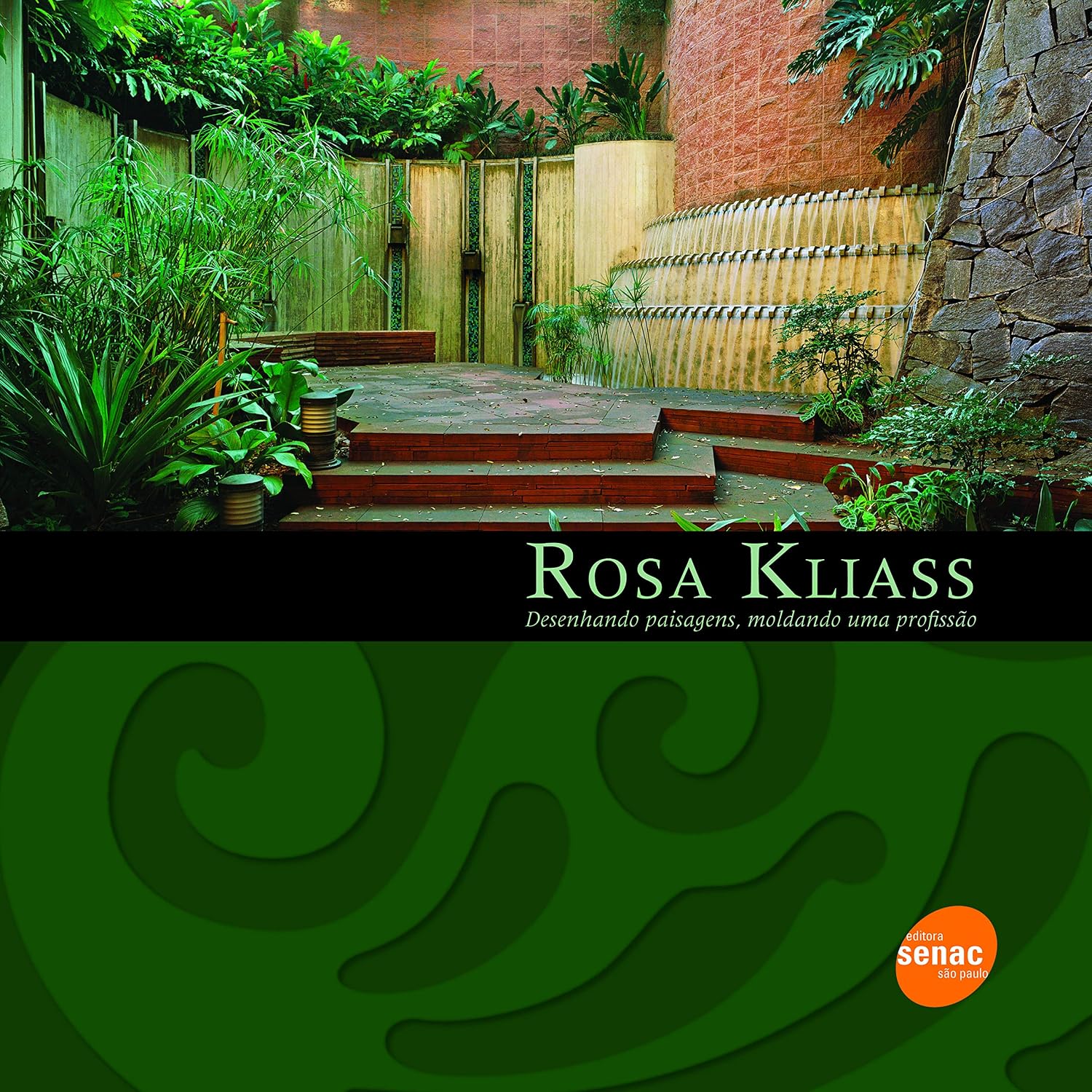Rosa Kliass - Desenhando paisagens baixar o livro de graça