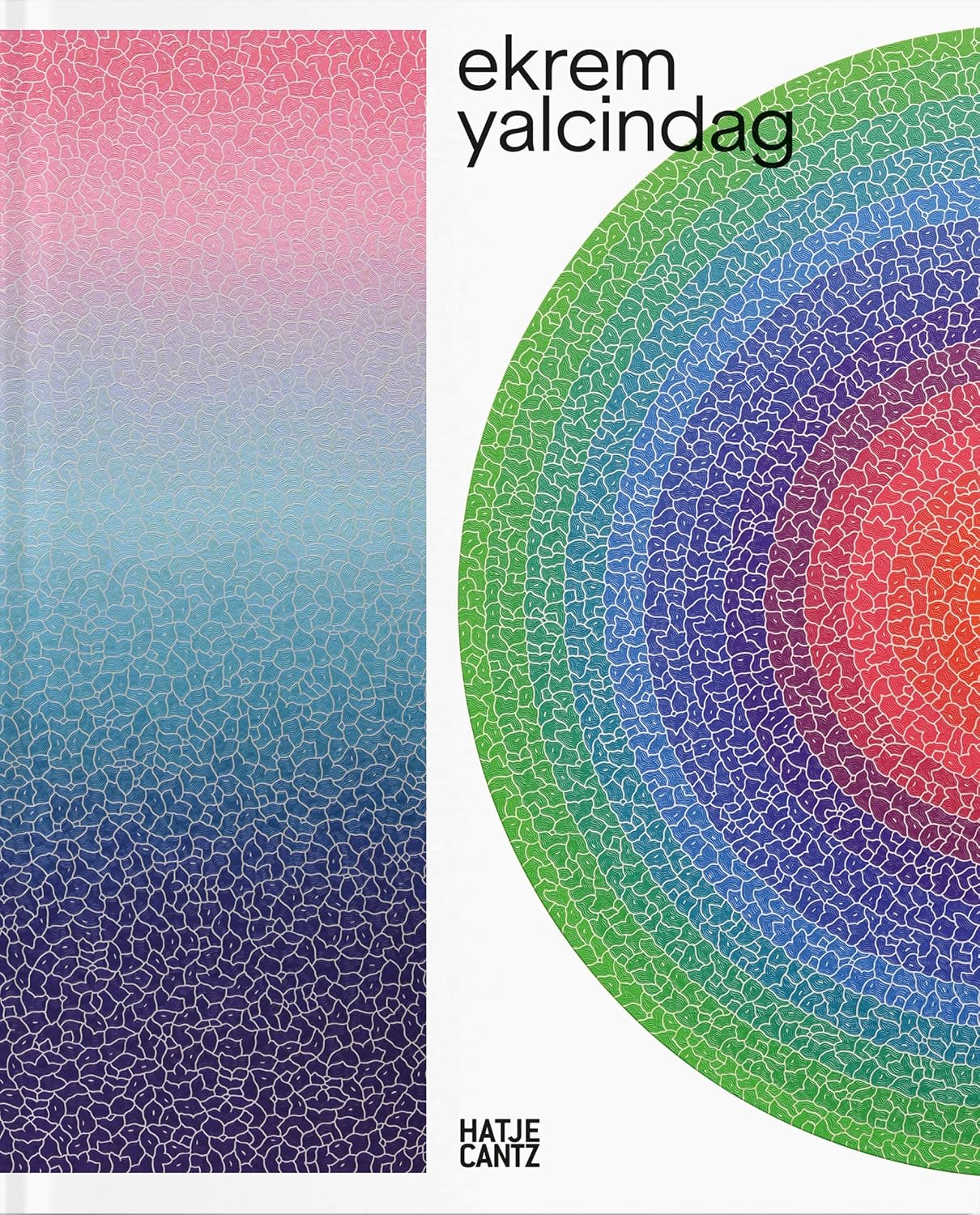 Ekrem Yalcindag. Seeing the World Anew (German Edition)