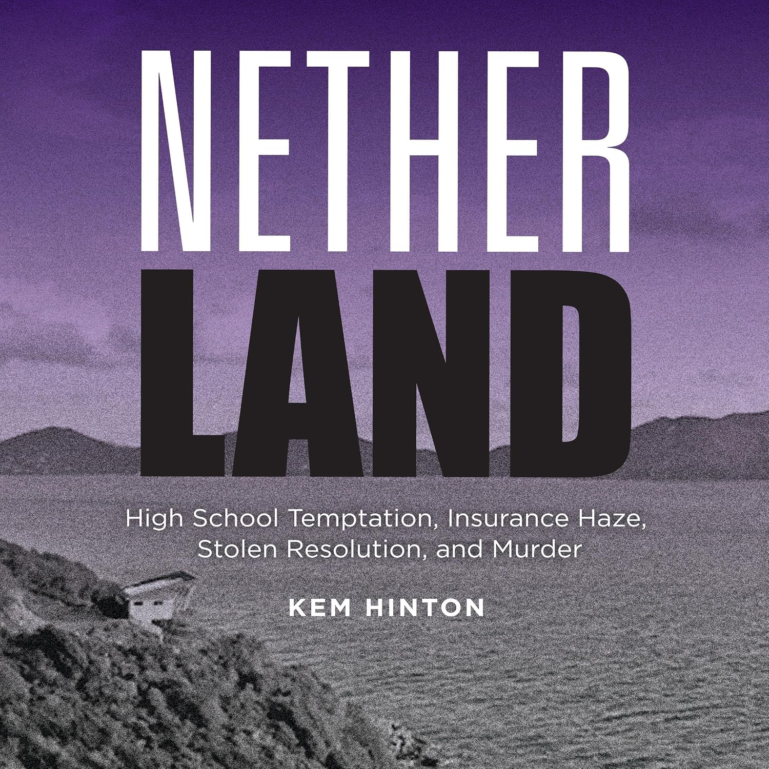 Nether Land: High School Temptation, Insurance Haze, Stolen Resolution, and Murder baixar o livro de graça
