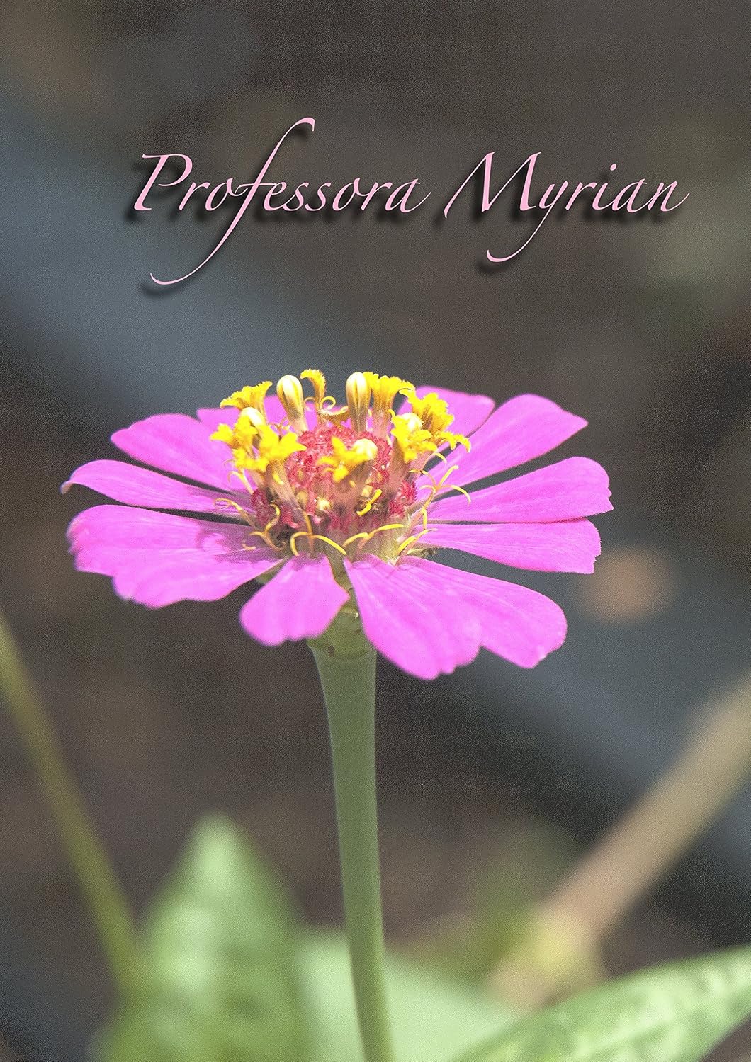 ler totalmente Professora Myrian: Minha Mãe (Família e Amigos Livro 1)
