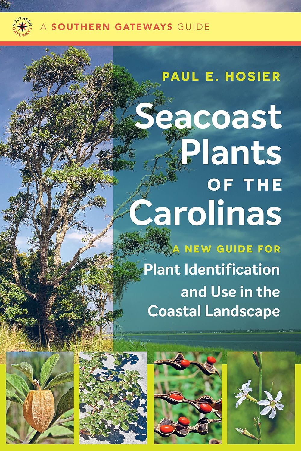 Seacoast Plants of the Carolinas: A New Guide for Plant Identification and Use in the Coastal Landscape (Southern Gateways Guides) (English Edition) baixar o livro de graça