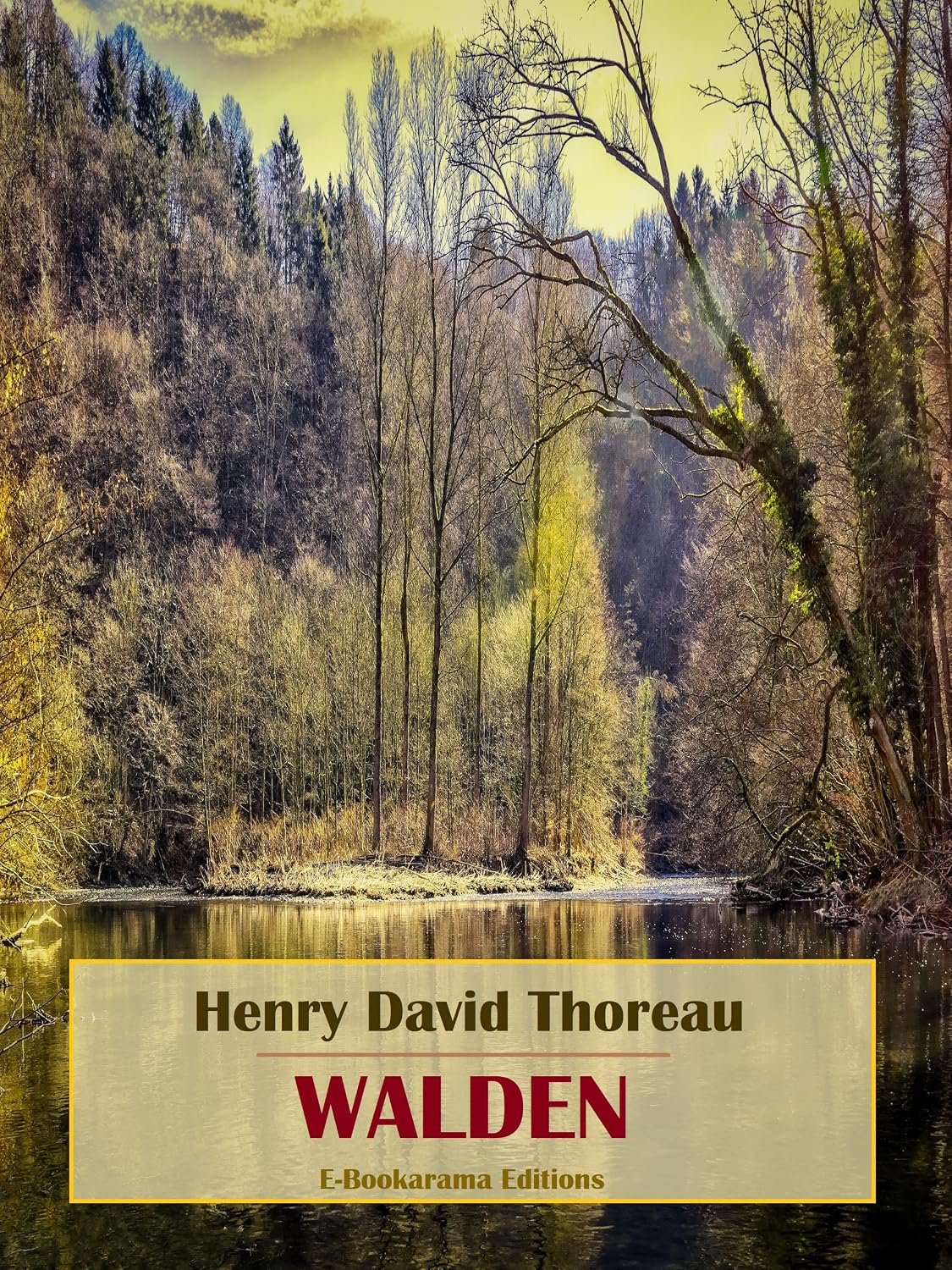 Walden (French Edition) baixar livro de graça
