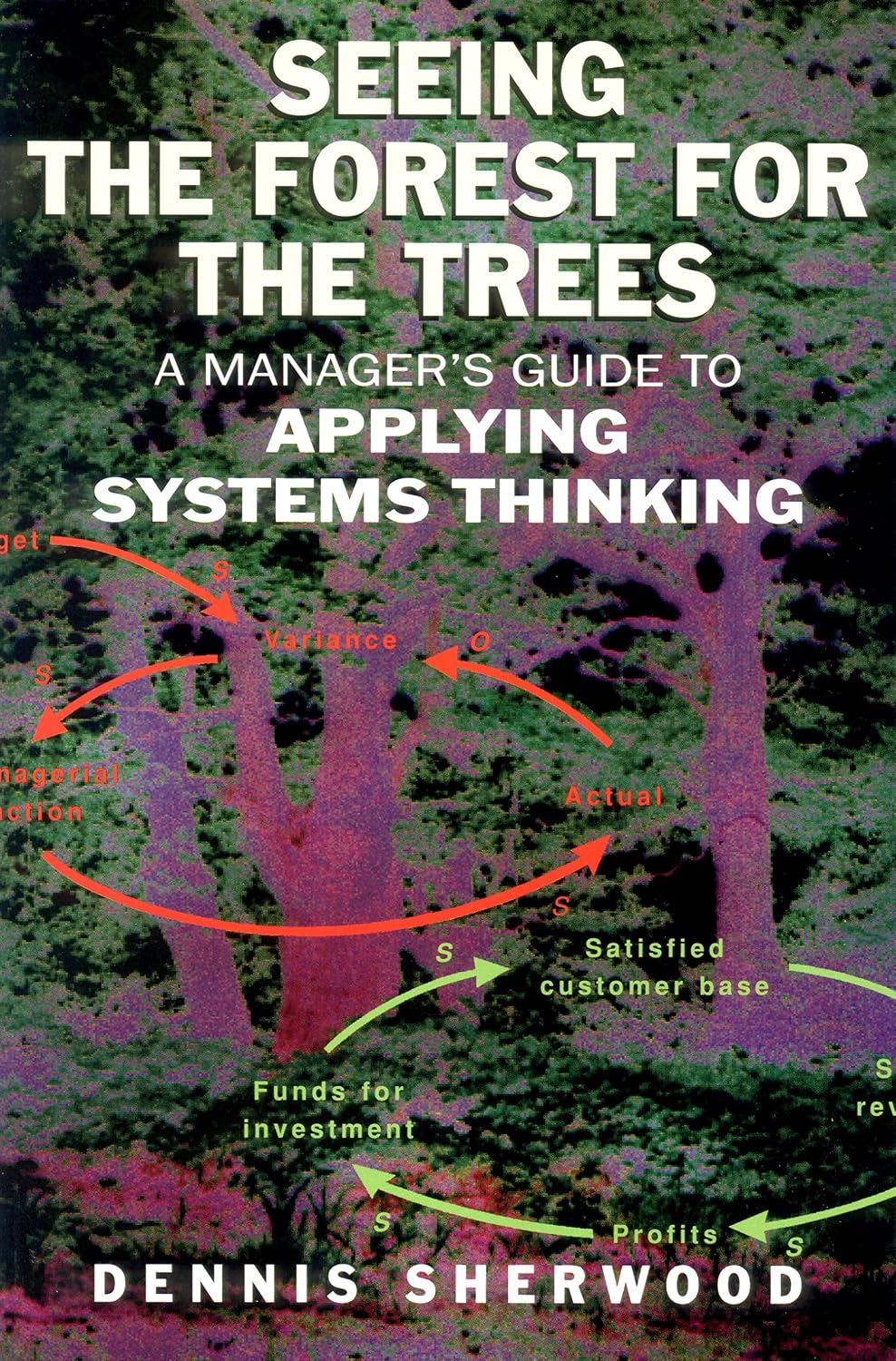 Seeing the Forest for the Trees: A Manager's Guide to Applying Systems Thinking (English Edition) baixar livro de graça