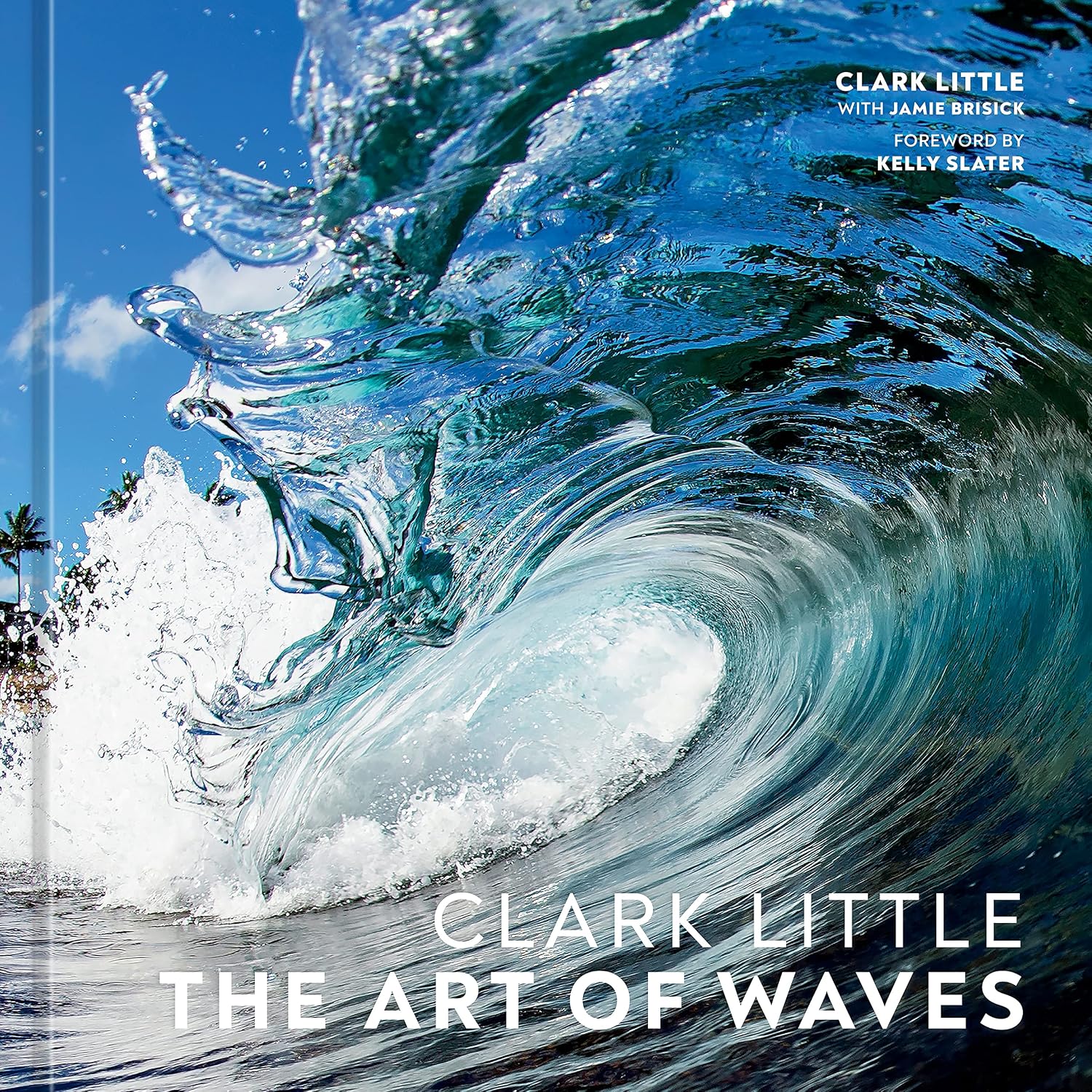 ler totalmente Clark Little: The Art of Waves