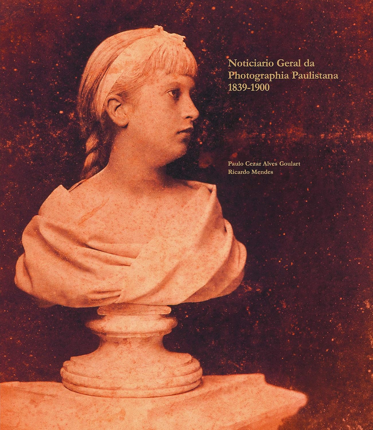 Noticiário Geral da Photographia Paulistana baixar o livro de graça