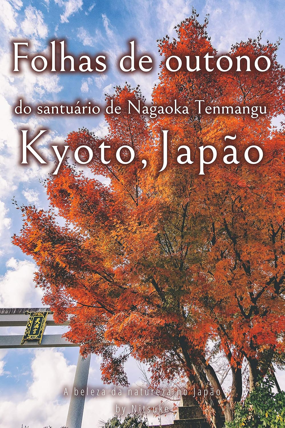 Folhas de outono do santuário de Nagaoka Tenmangu Kyoto, Japão (A beleza da natureza no Japão Livro 2) baixar o livro de graça