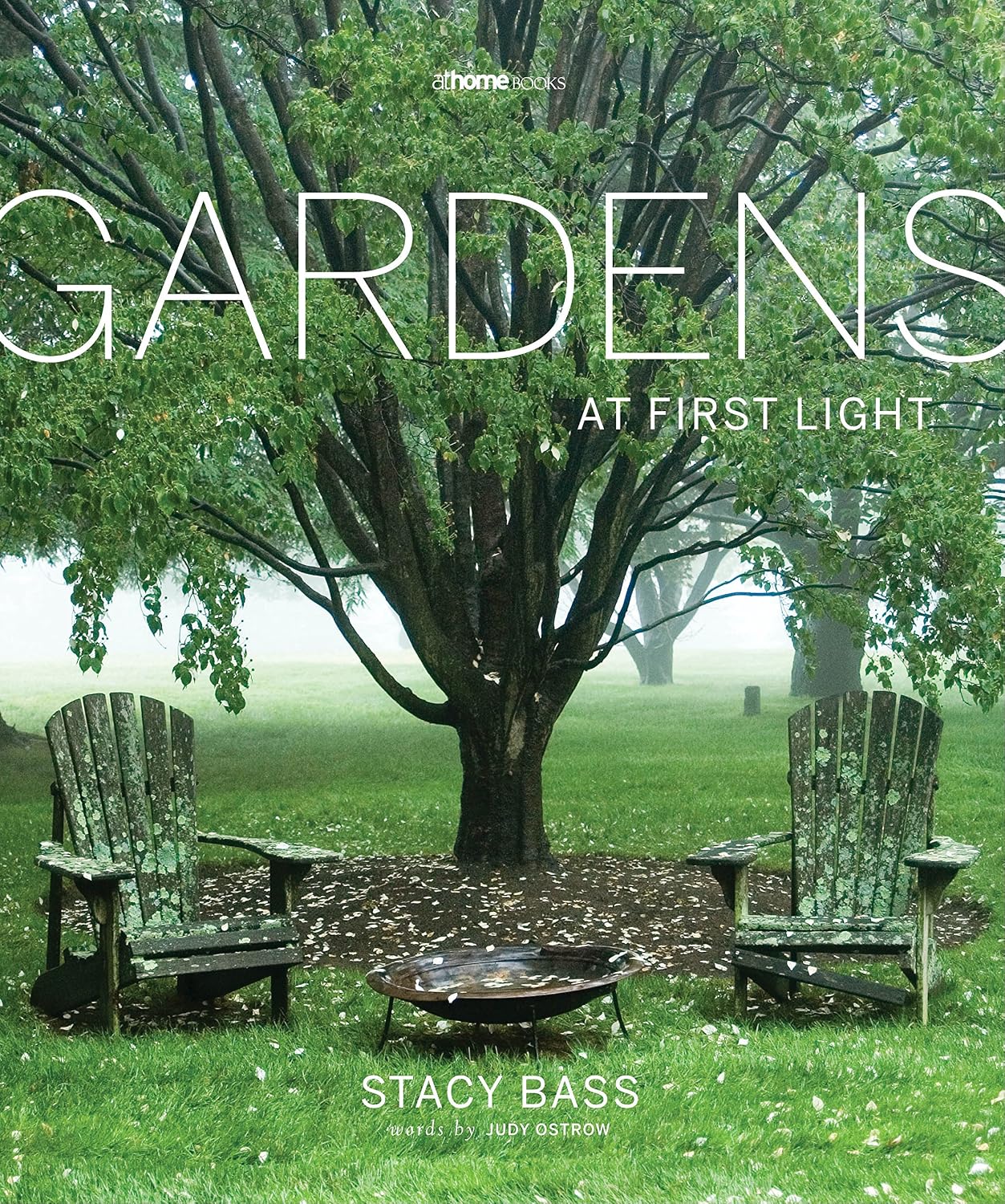 Gardens at First Light baixar livro de graça