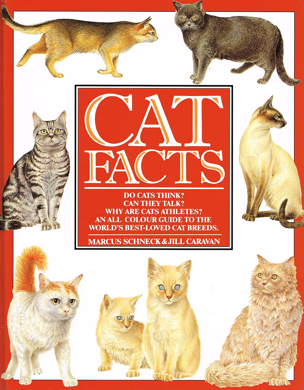 Cat Facts baixar livro de graça
