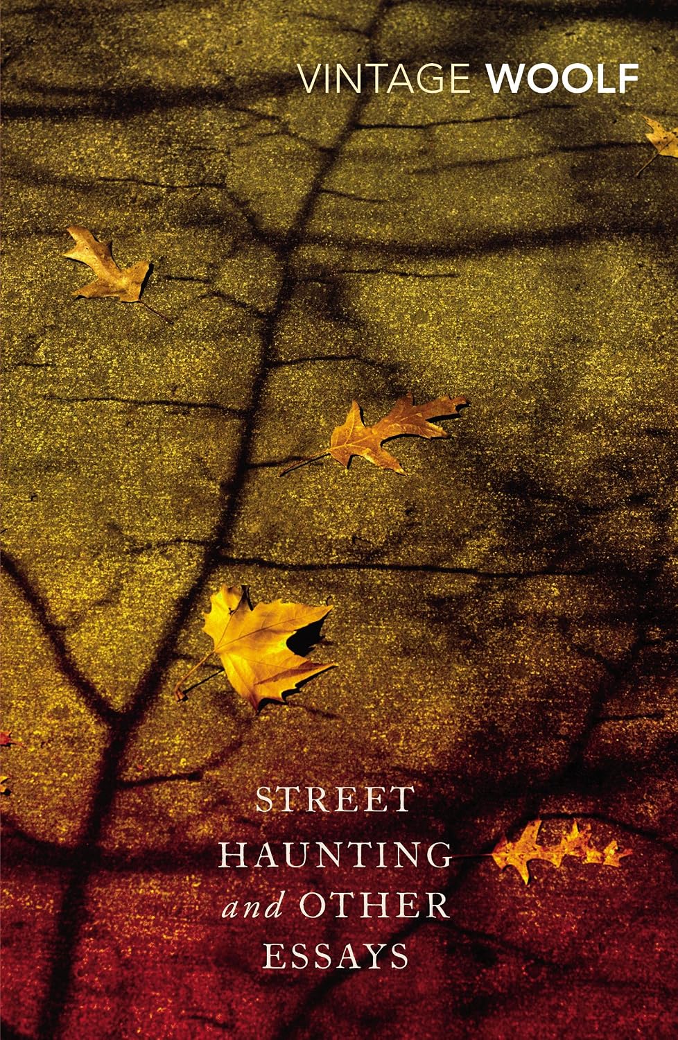 capítulo por capítulo baixar Street Haunting and Other Essays (Vintage Classics) (English Edition)