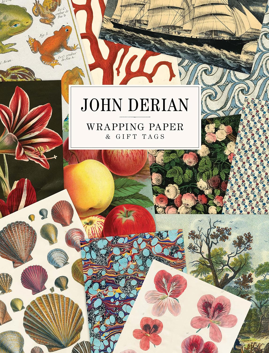 John Derian Paper Goods: Wrapping Paper & Gift Tags baixar livro de graça