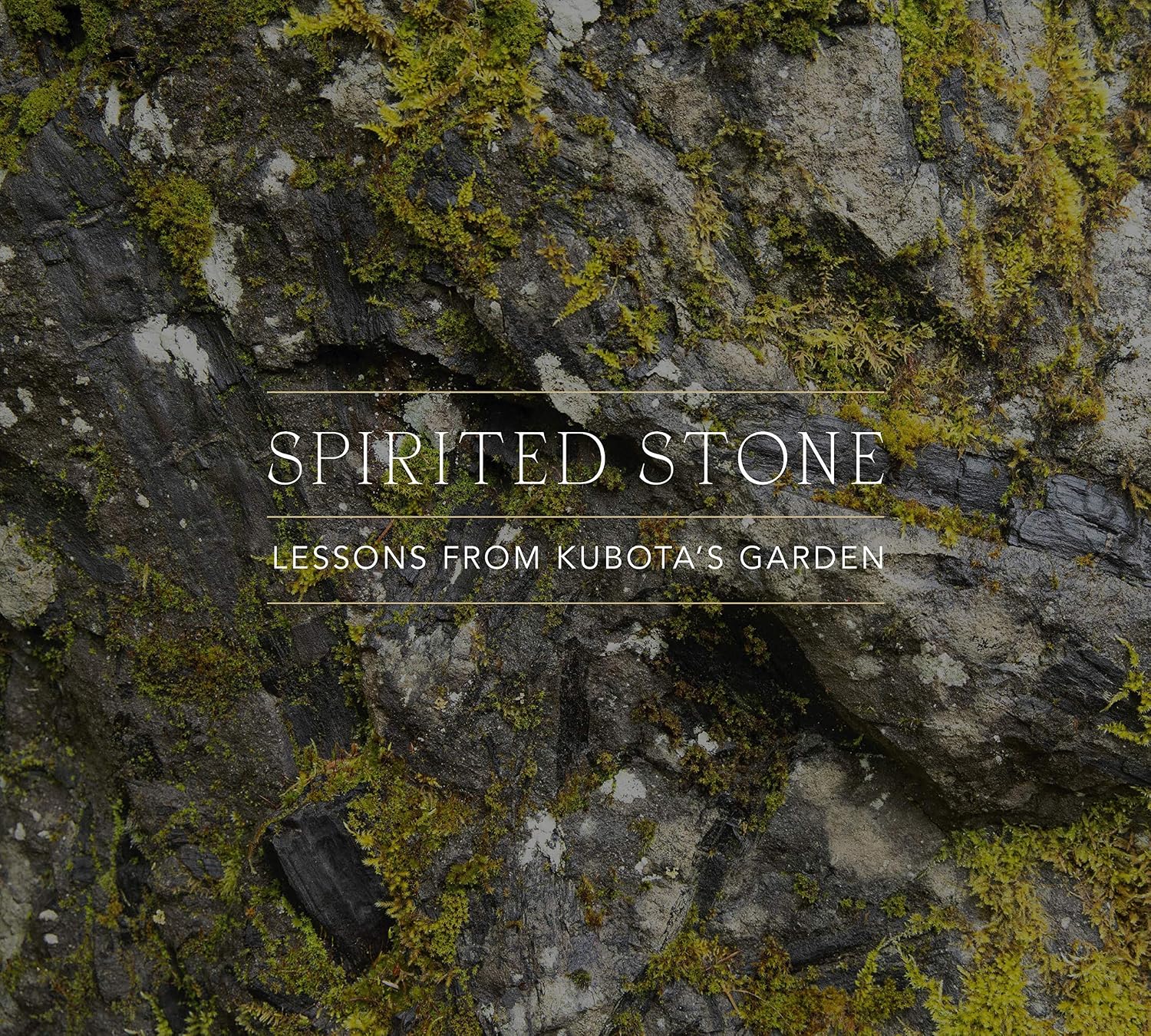 Spirited Stone: Lessons from Kubota's Garden baixar o livro de graça
