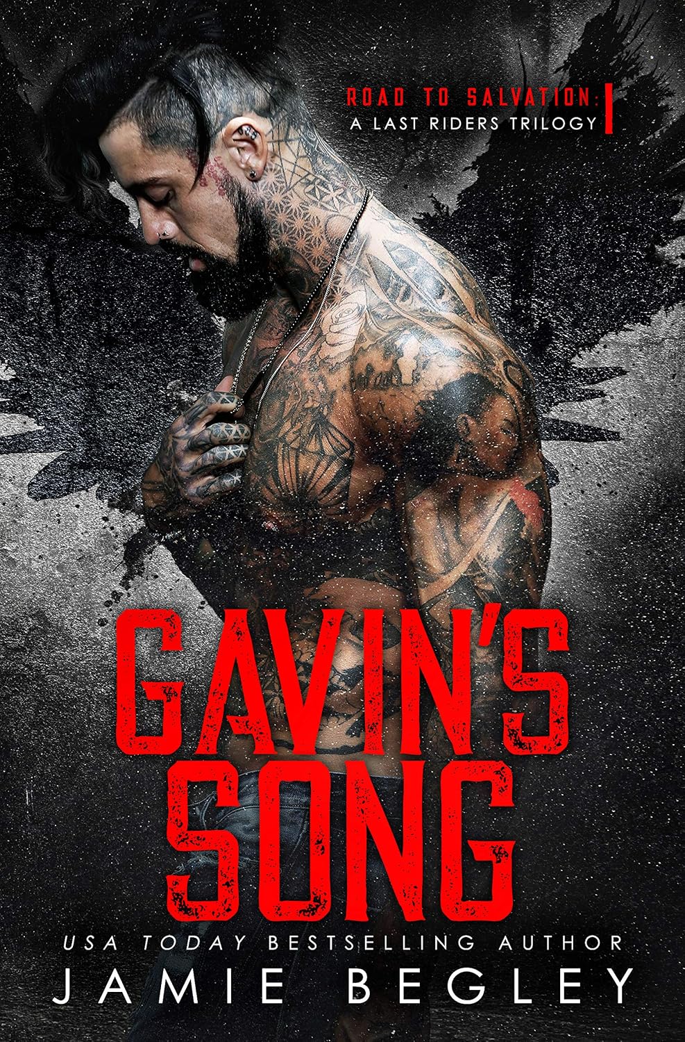 Gavin's Song: A Last Riders Trilogy (Road to Salvation Book 1) (English Edition)