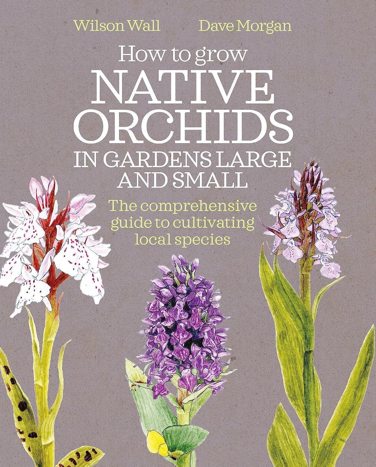 ler totalmente How to Grow Native Orchids in Gardens Large and Small: The comprehensive guide to cultivating local species (English Edition)