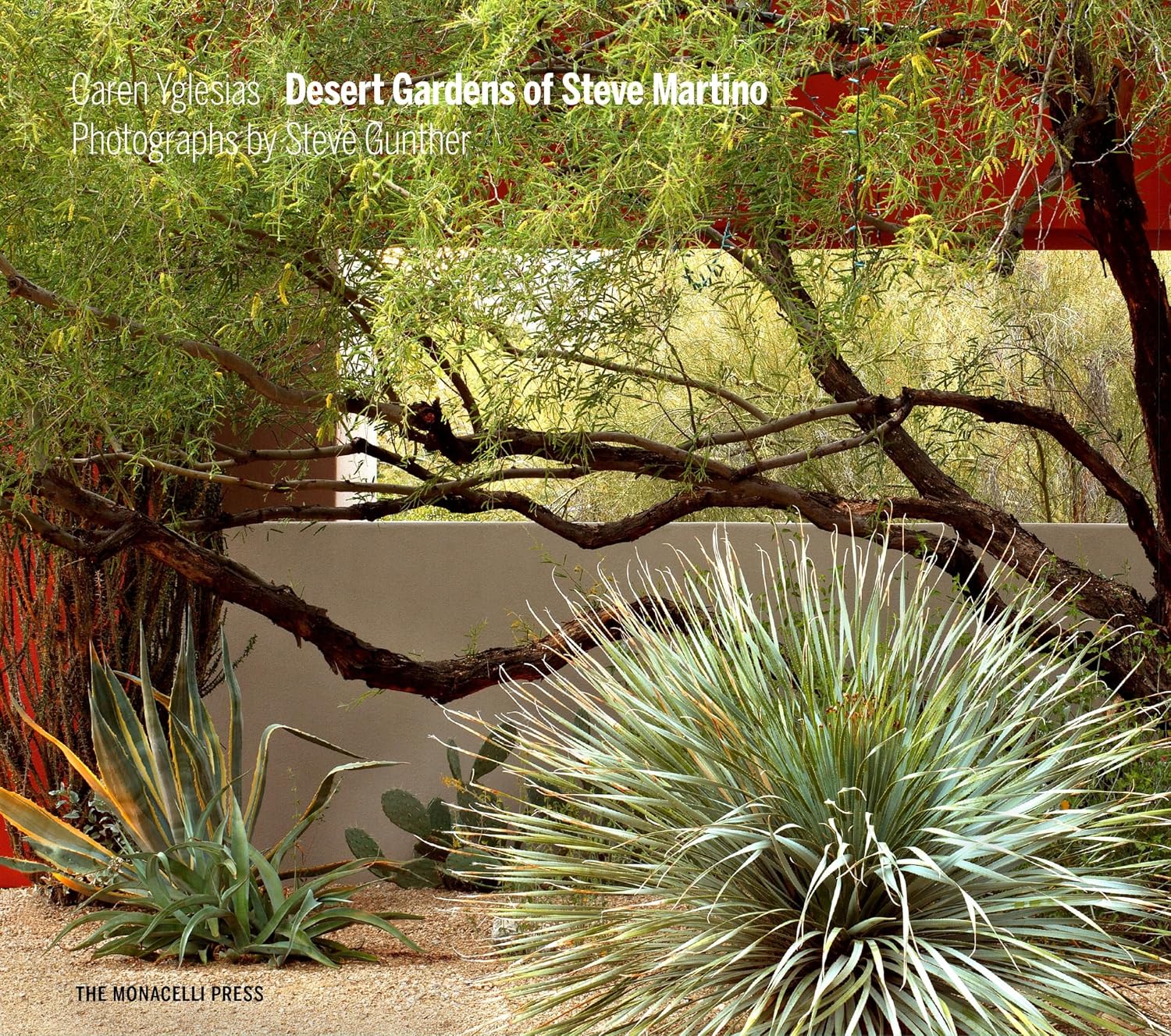 Desert Gardens of Steve Martino baixar o livro de graça