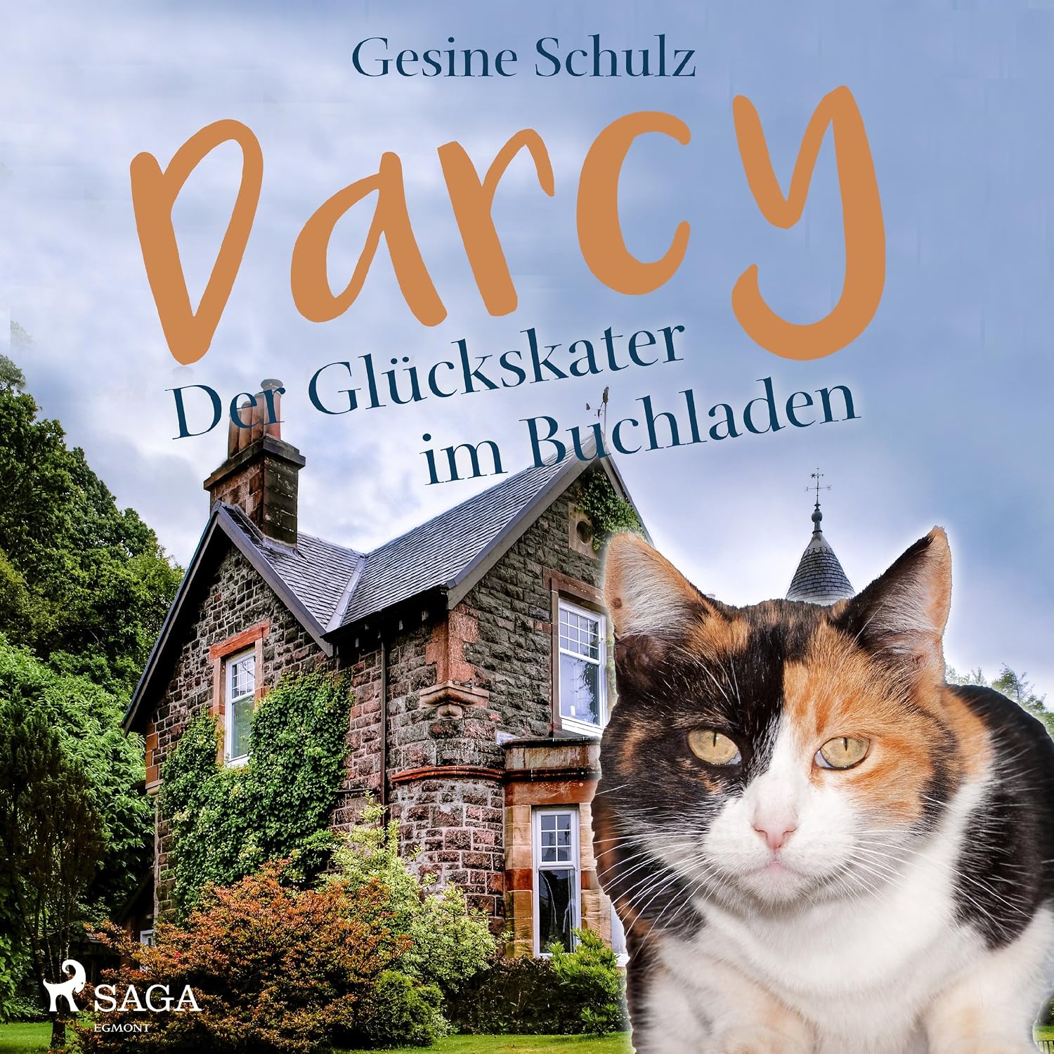 Darcy - Der Glückskater im Buchladen: Darcy - Der Glückskater 1 baixar livro de graça